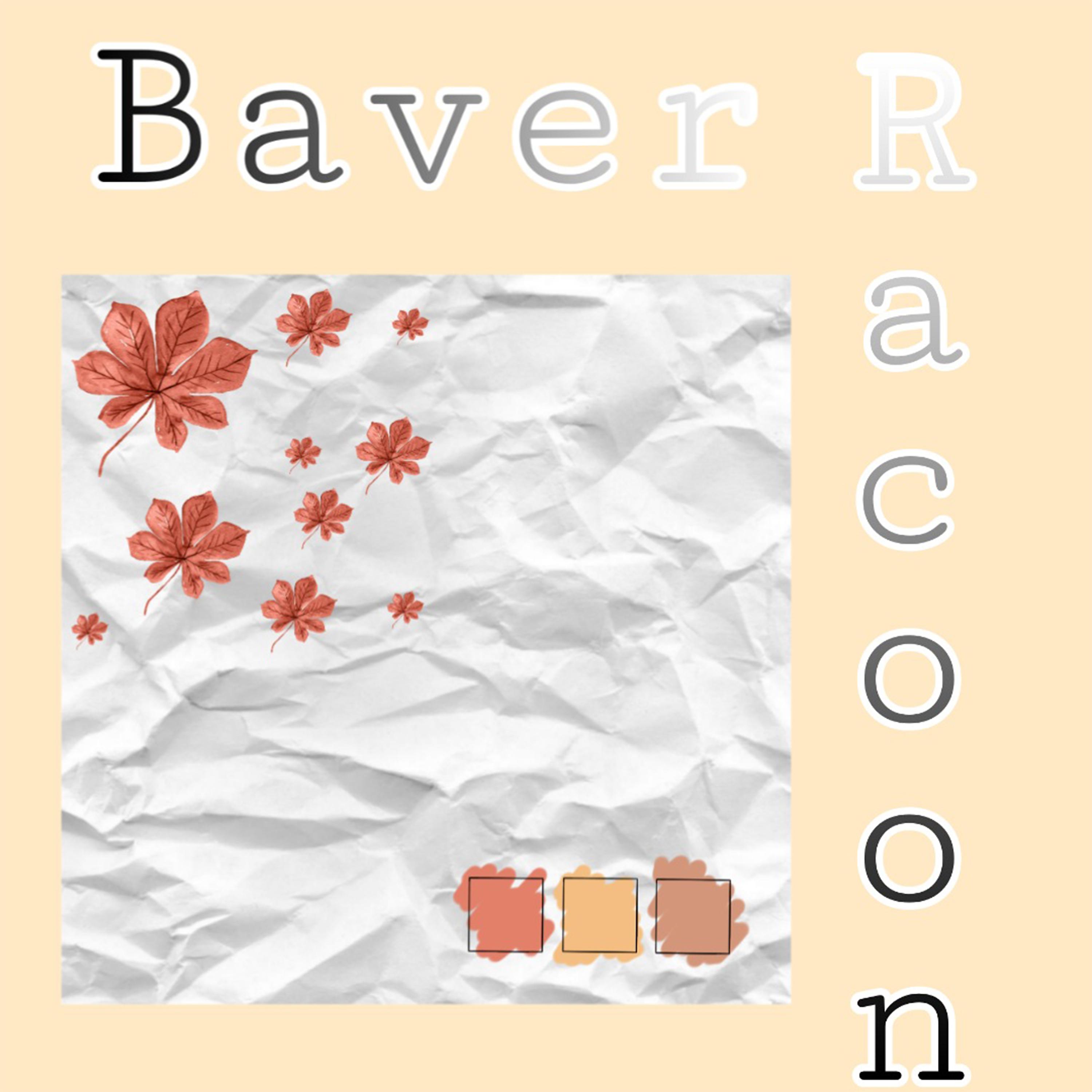 Постер альбома Racoon