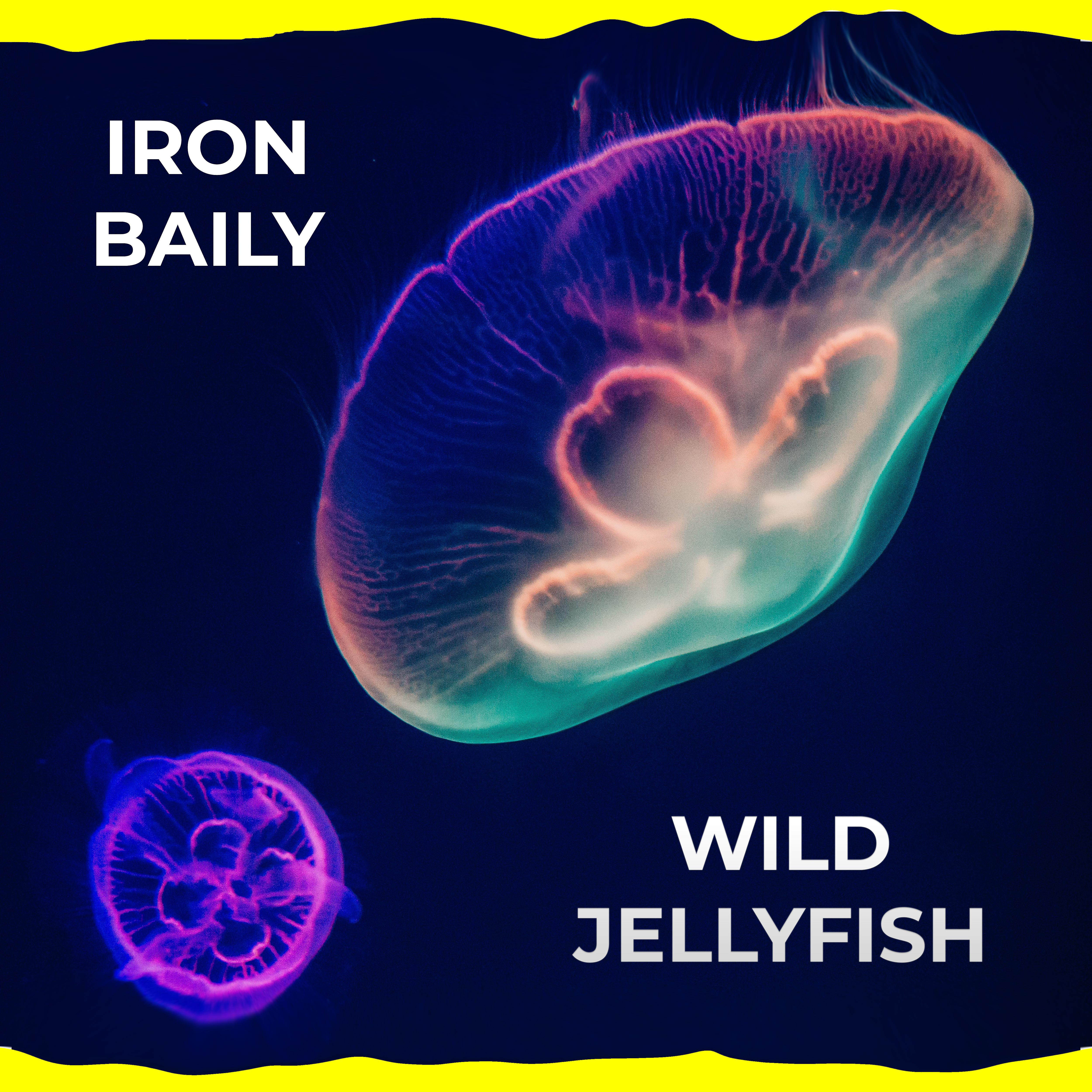 Постер альбома Wild Jellyfish