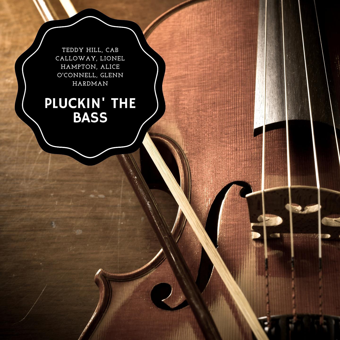 Постер альбома Pluckin' The Bass
