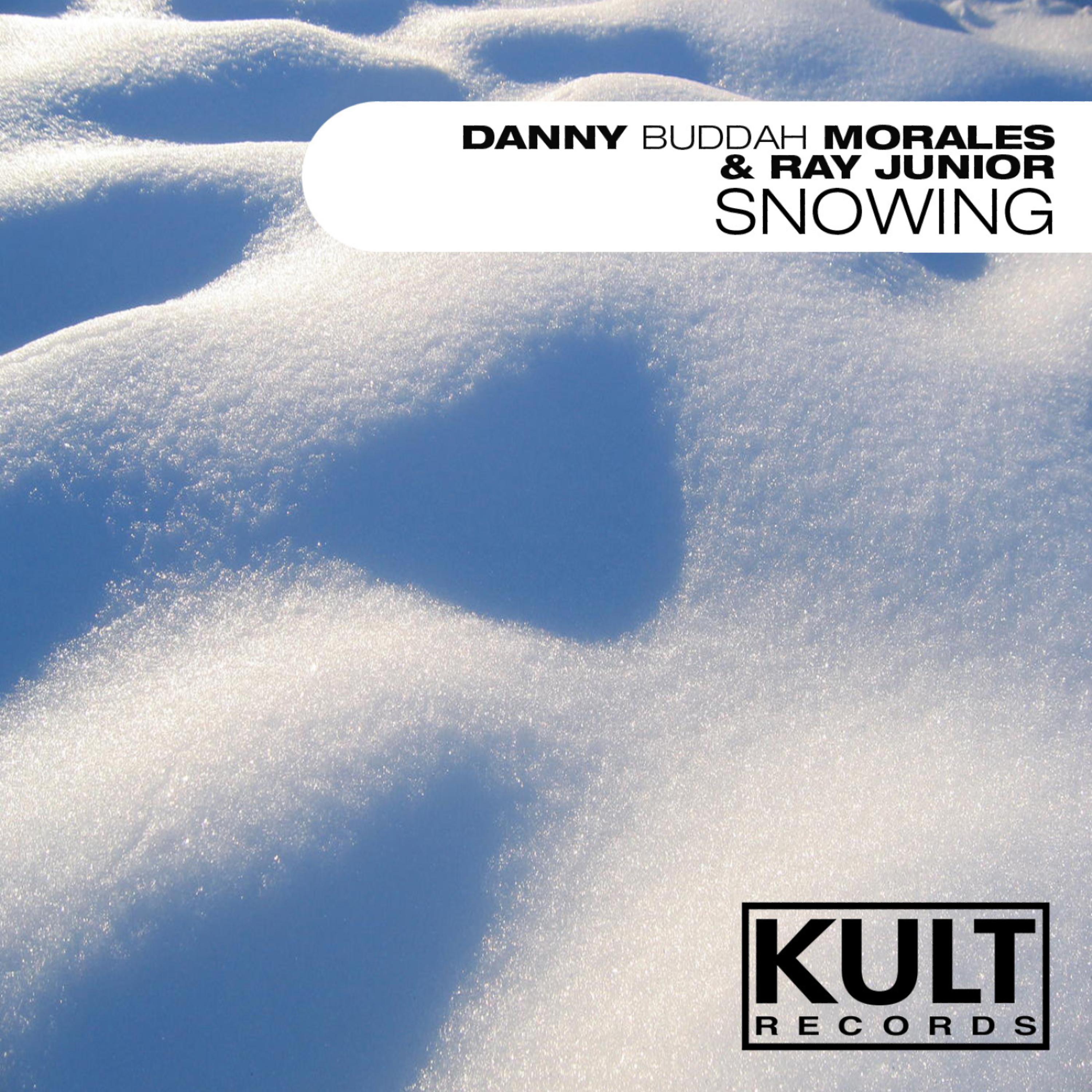 Постер альбома KULT Records presents "Snowing"