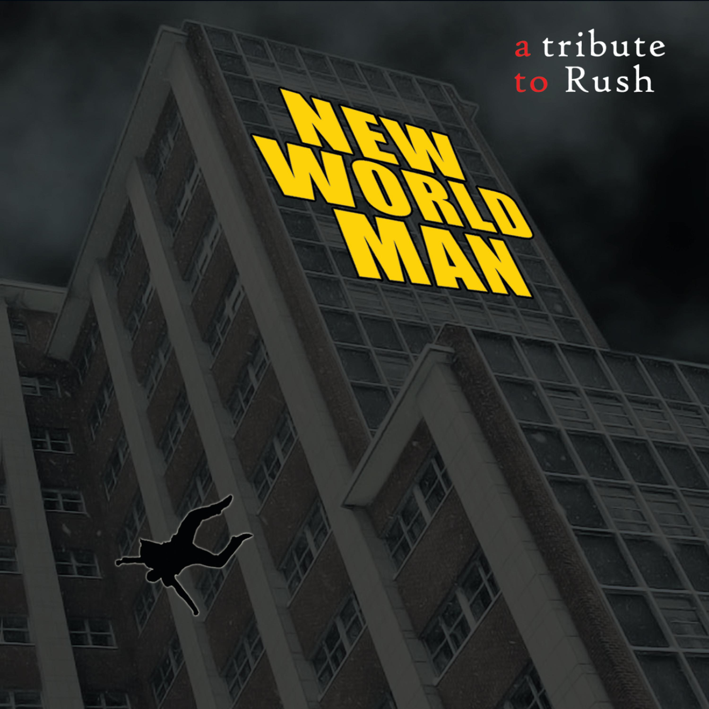 Постер альбома New World Man