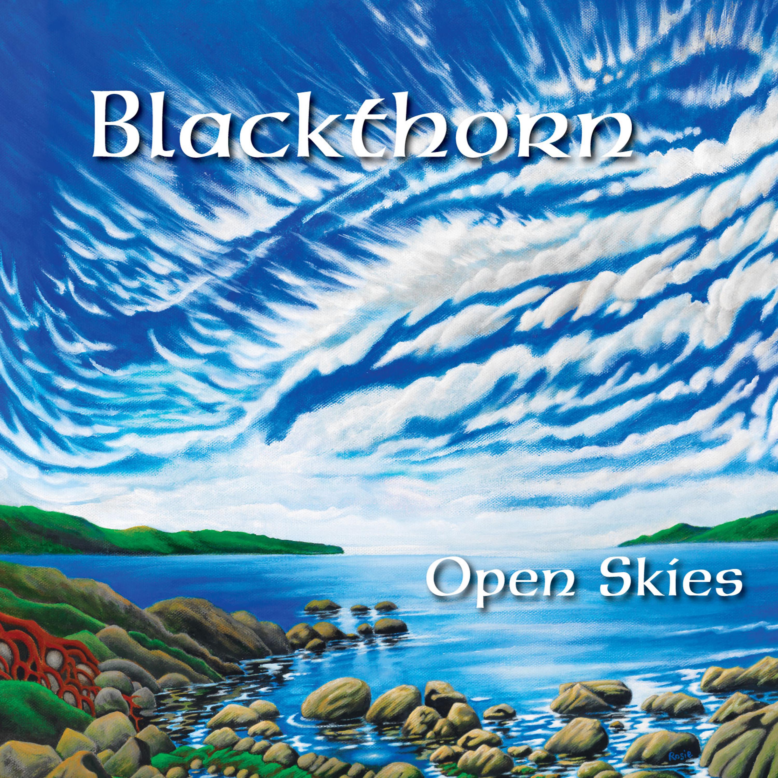 Постер альбома Open Skies
