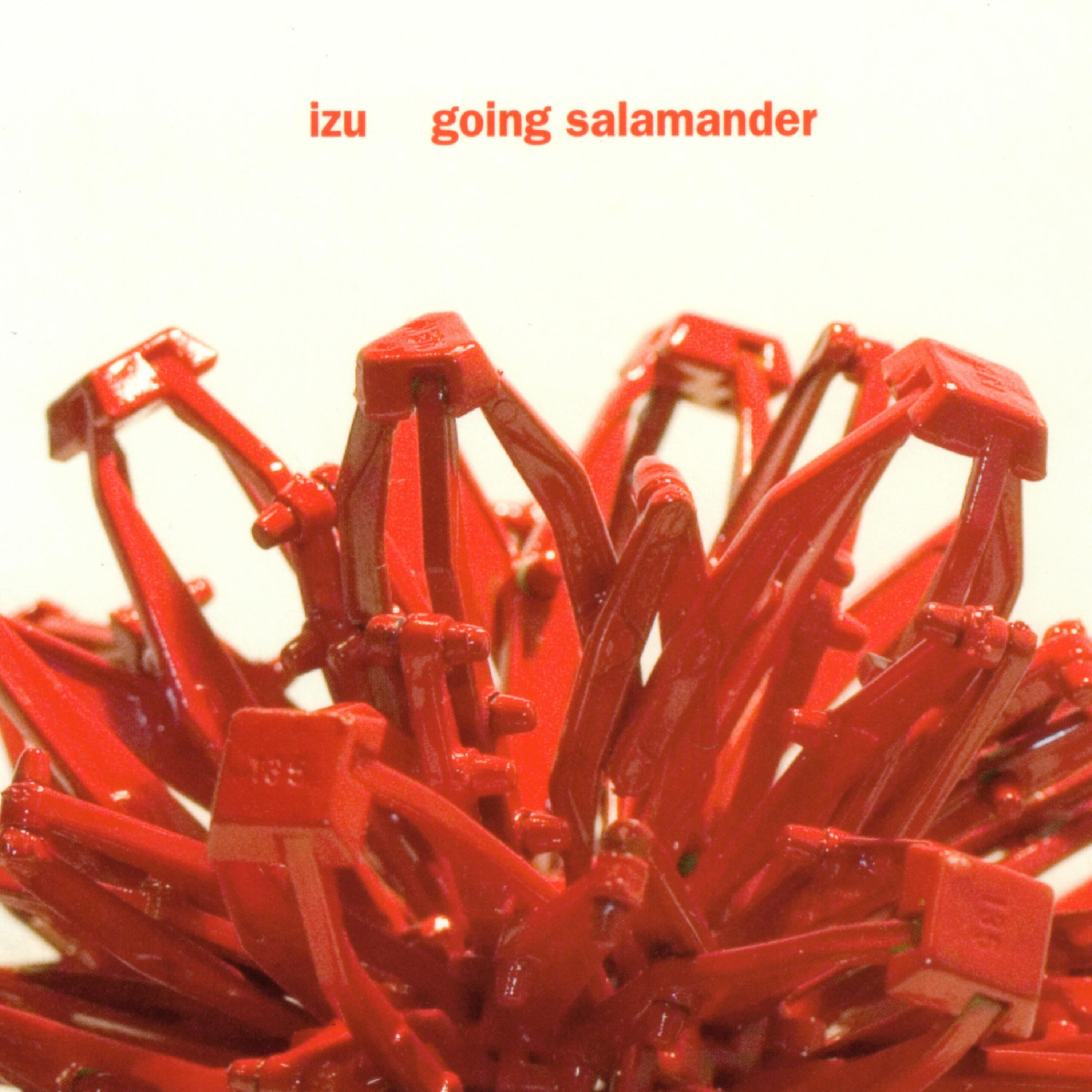 Постер альбома Going Salamander