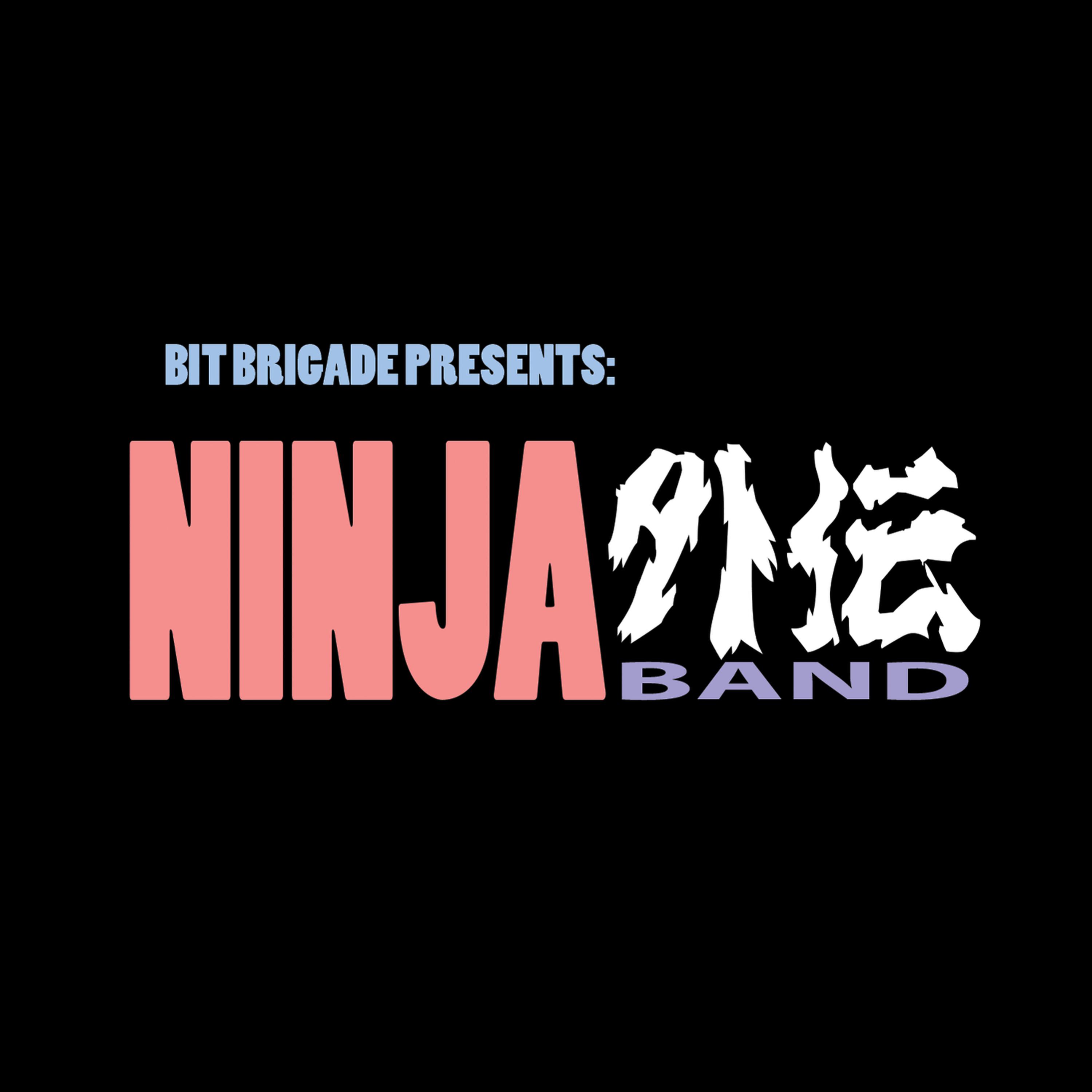 Постер альбома Ninja Band