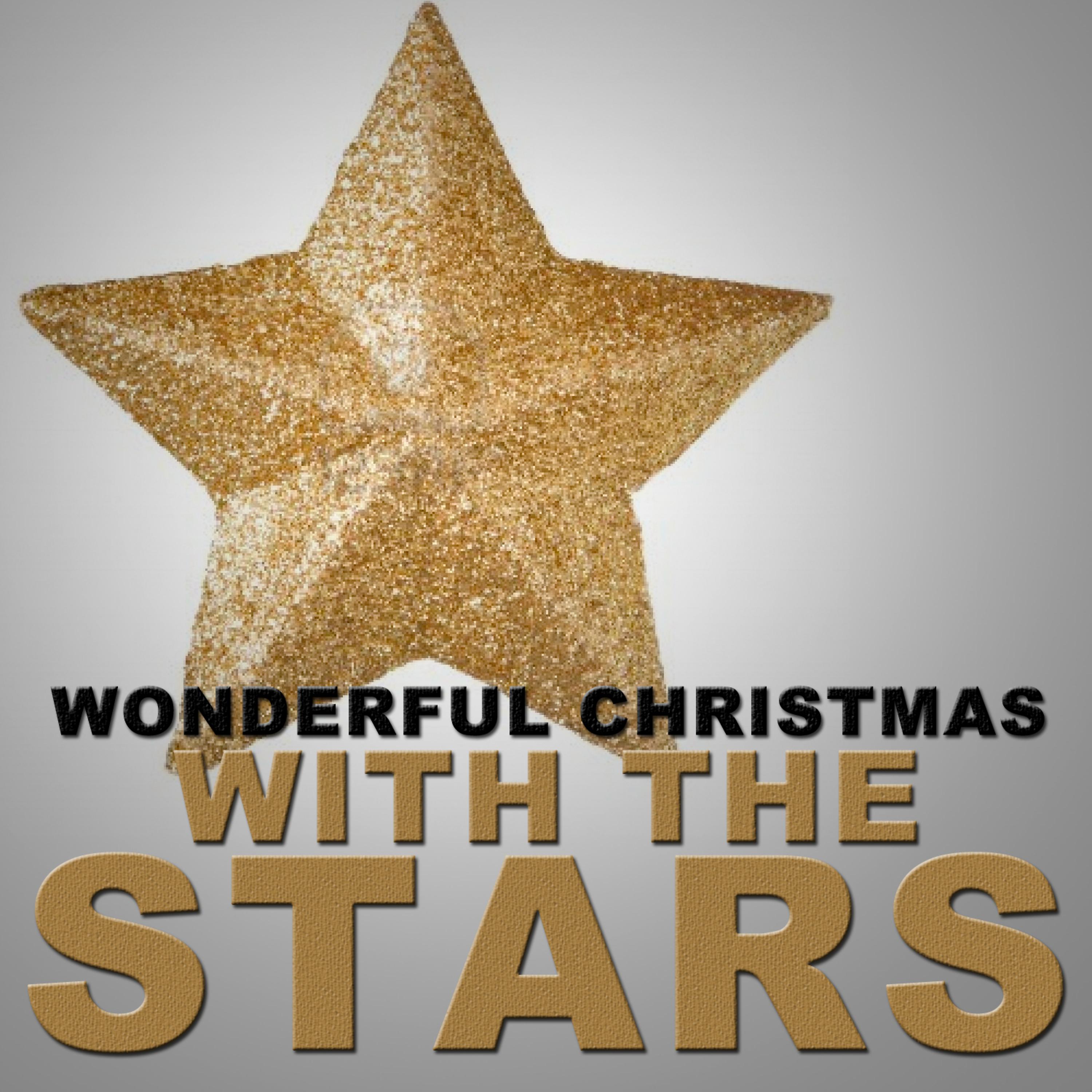 Постер альбома Wonderful Christmas with the Stars