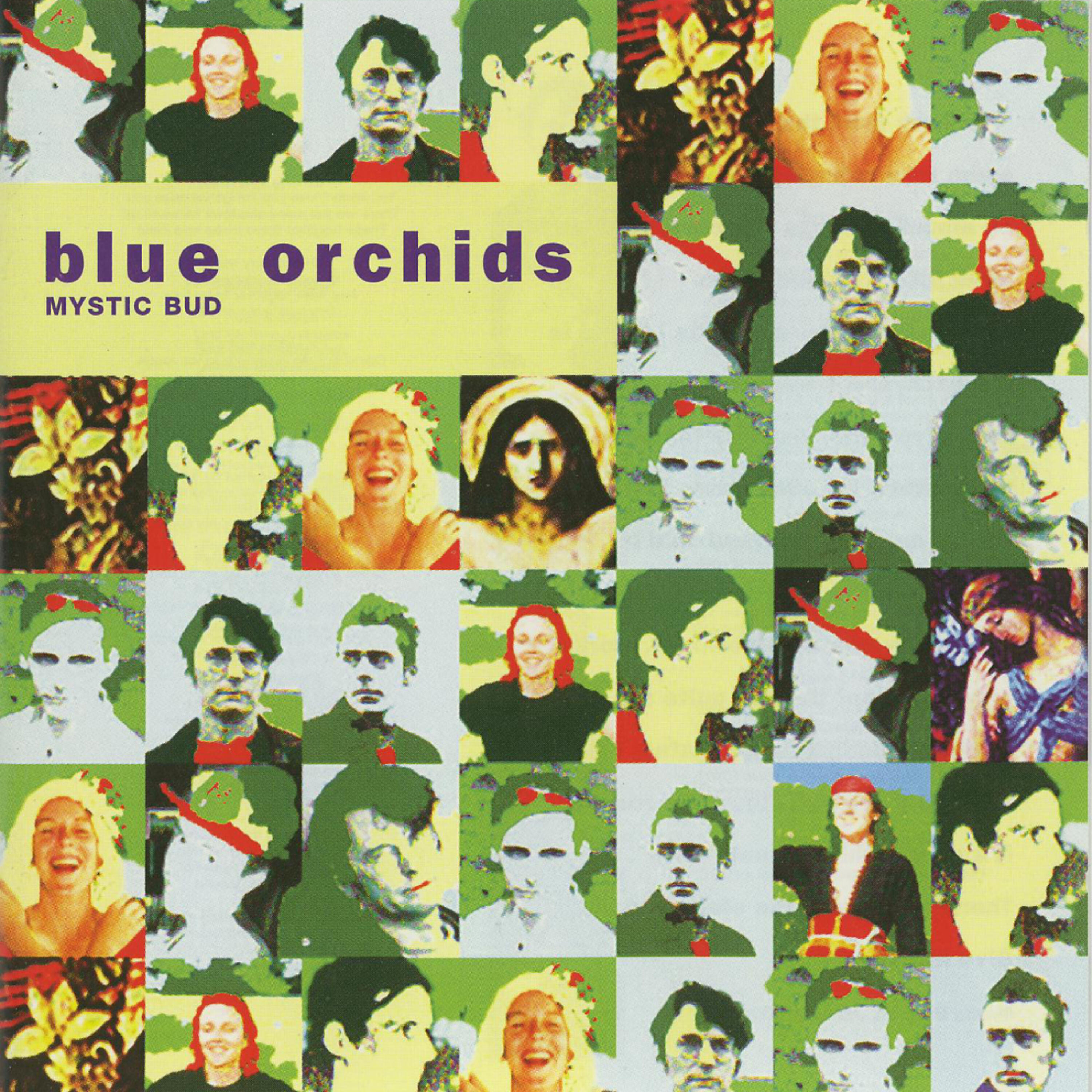 Blue Orchids - Shining Brow