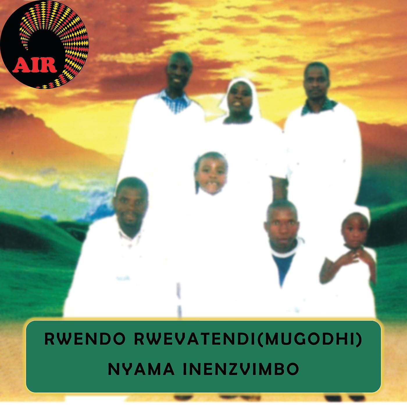 Постер альбома Nyama Inenzvimbo