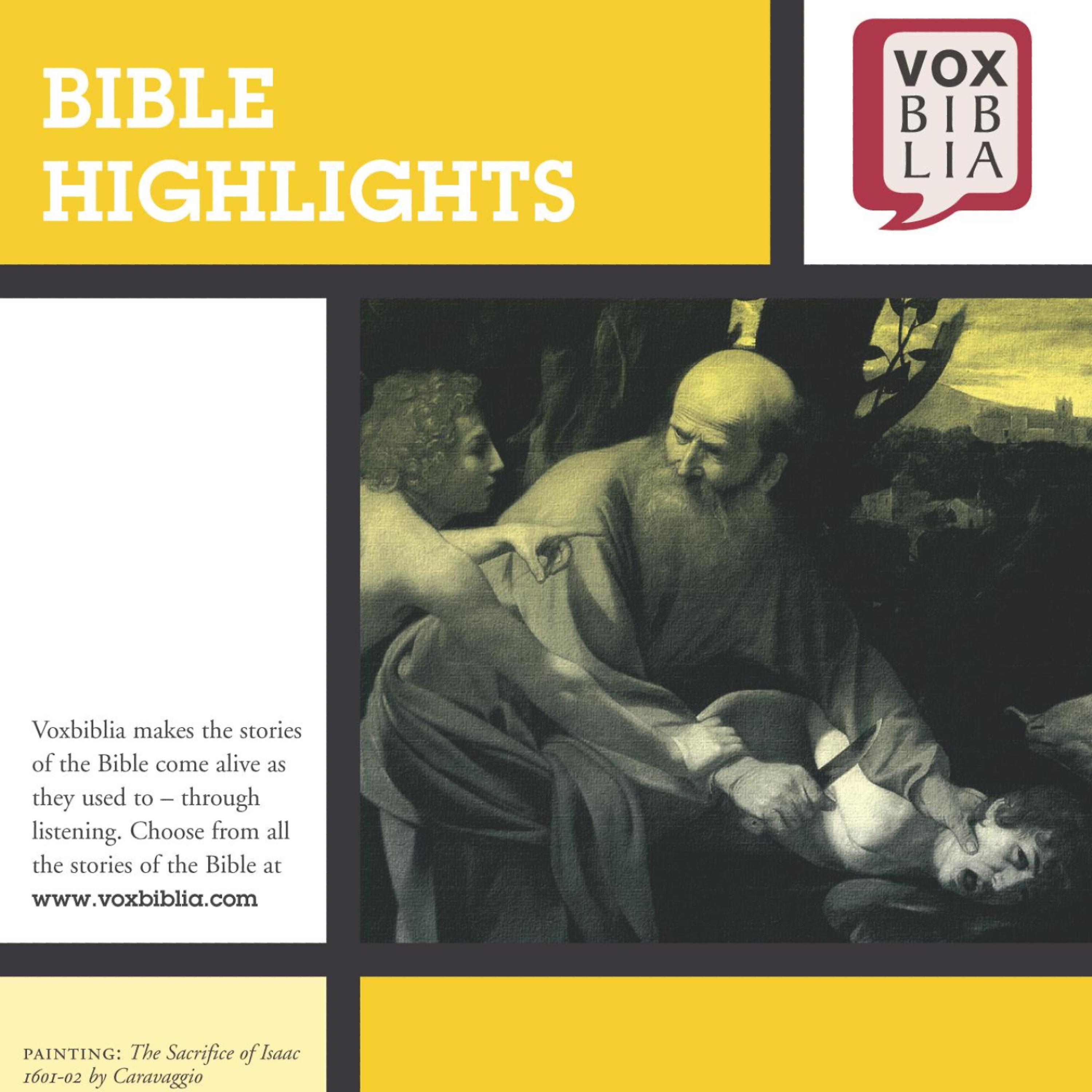 Постер альбома Bible Highlights