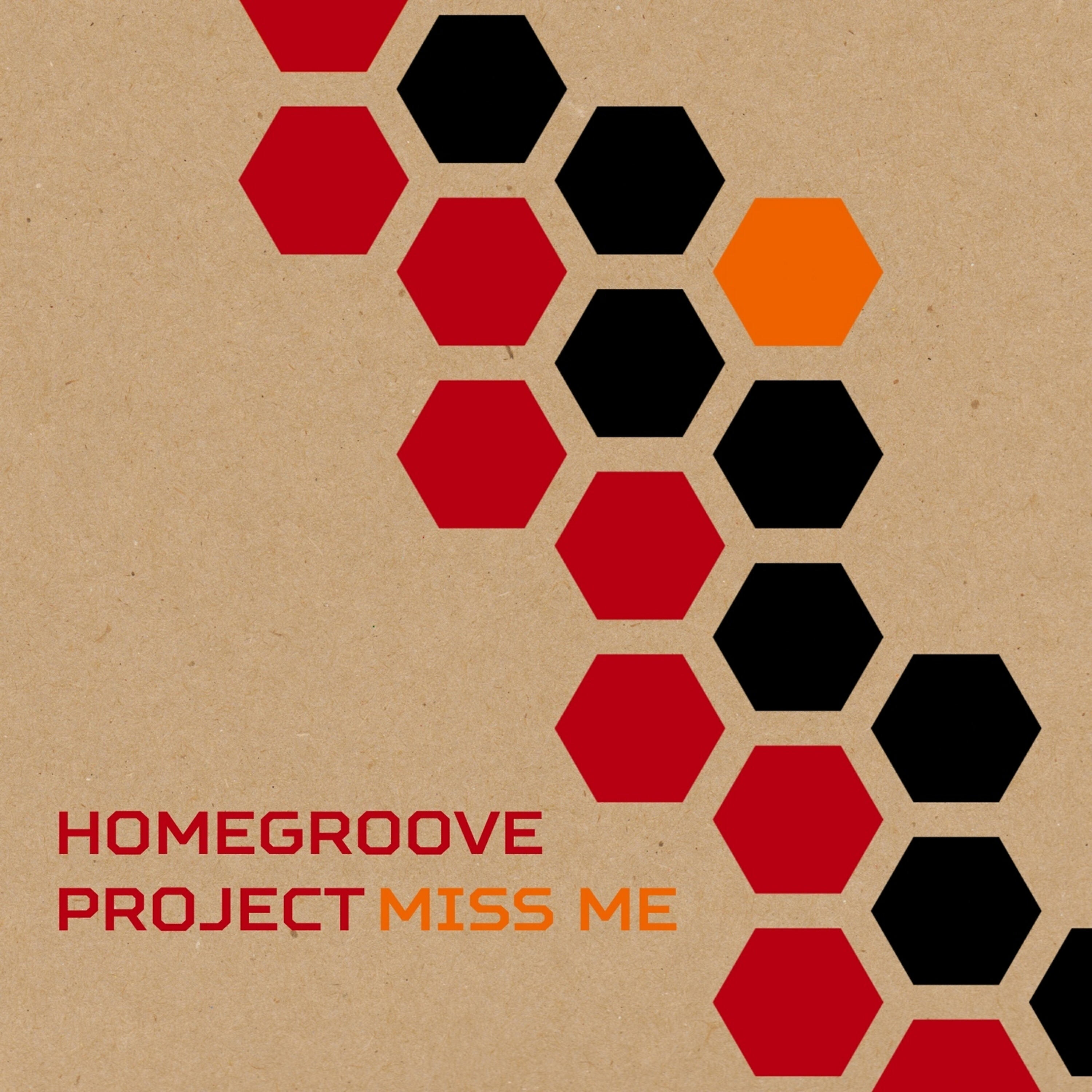 Homegroove Project - Miss Me (Rise Ashen Remix)