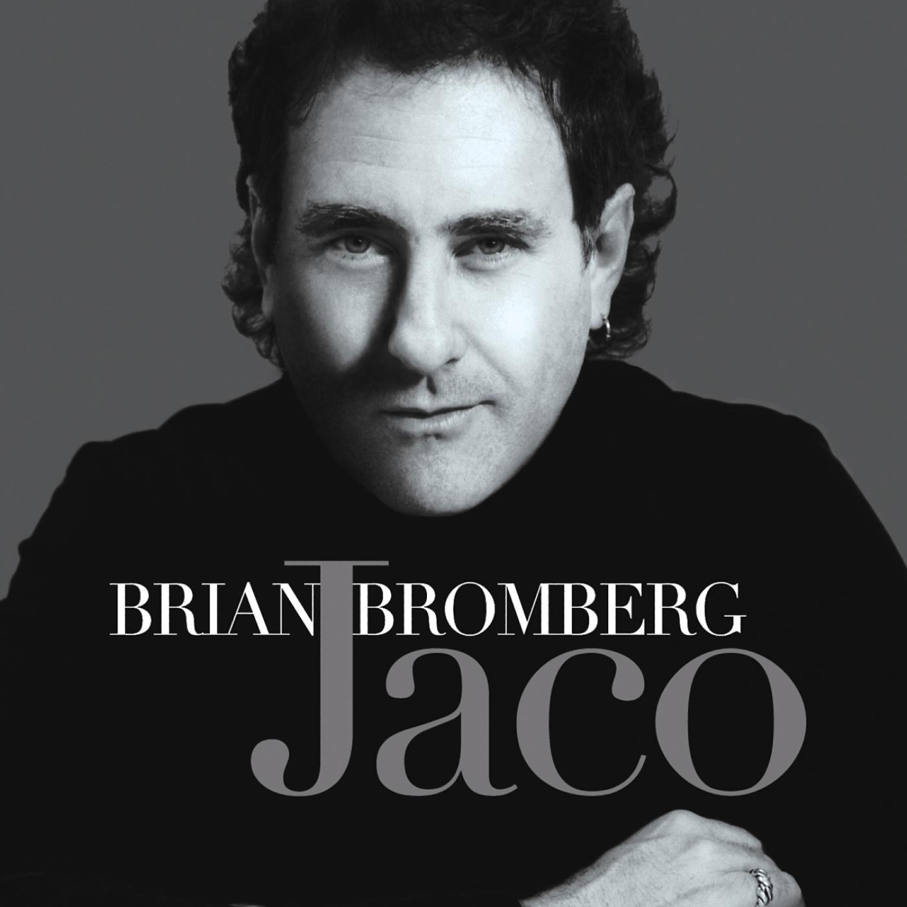 Brian Bromberg - The Chicken