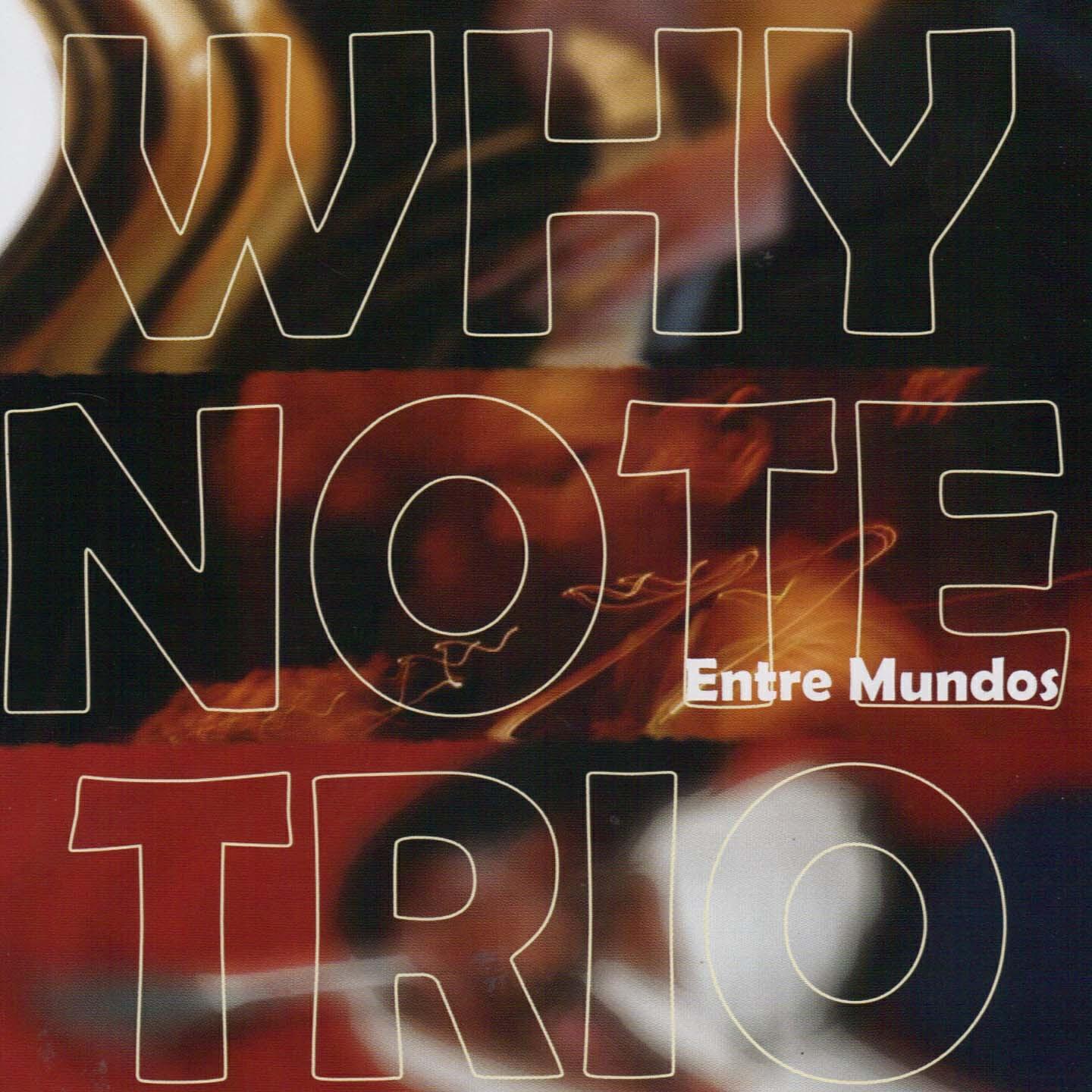 Why Note Trio - We Will Meet Again