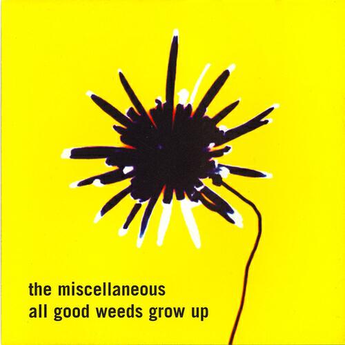 The Miscellaneous - Redemption
