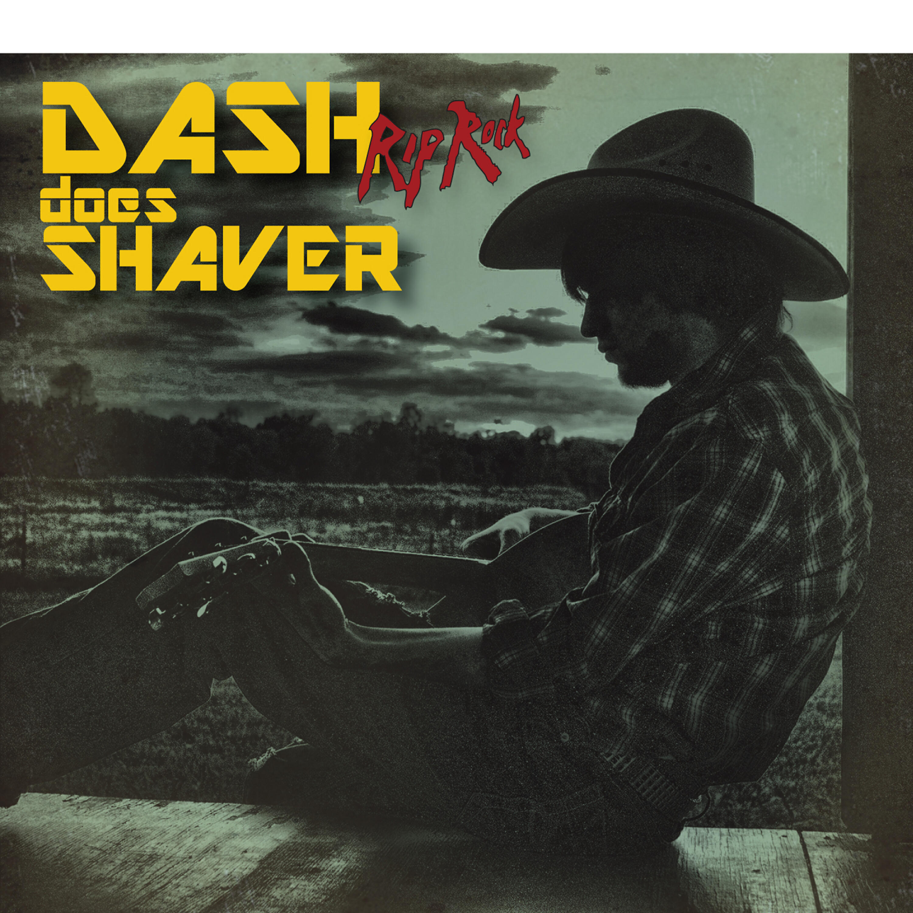 Dash Rip Rock - Slim Chance & The Can't Hardly Playboys