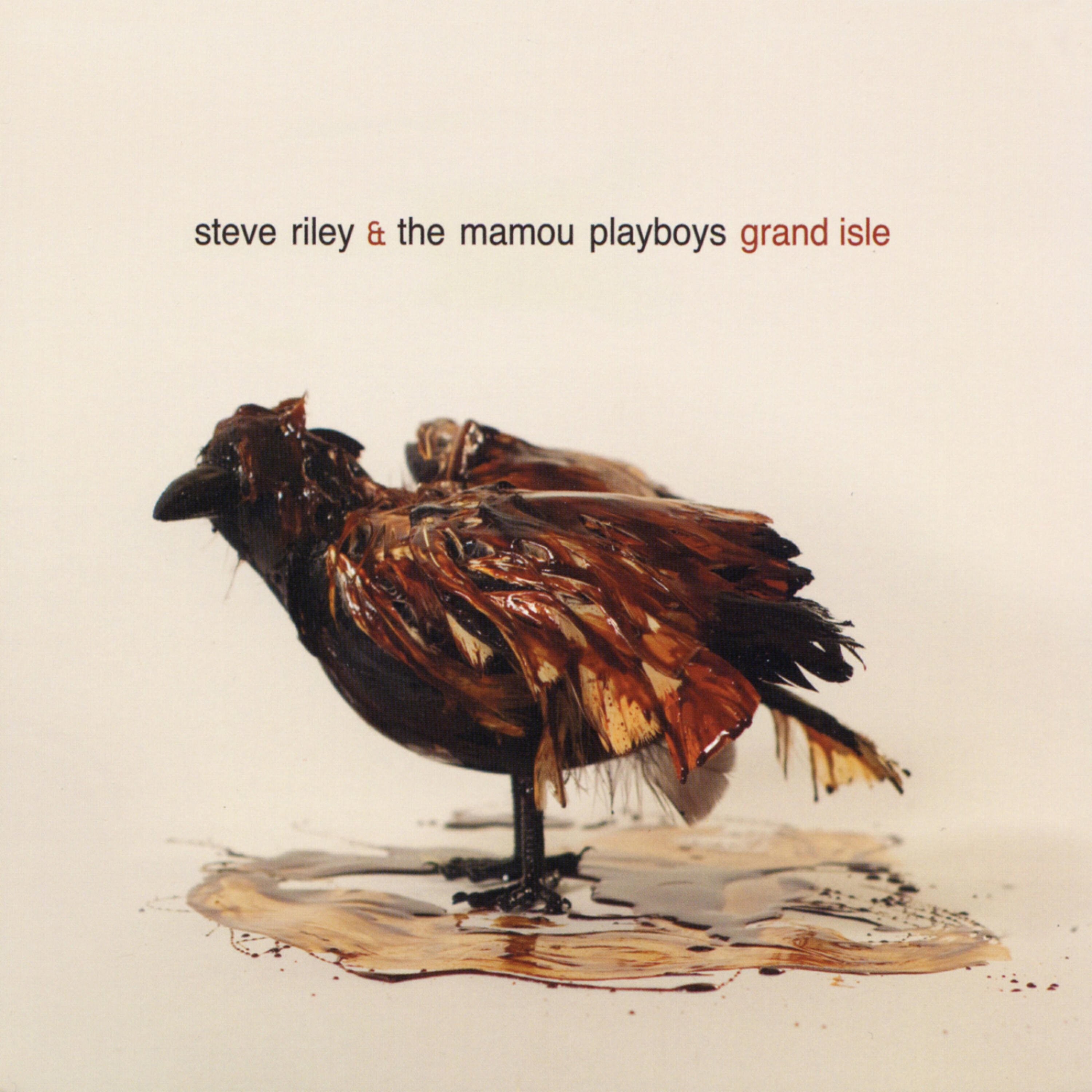 Steve Riley - Lyons Point