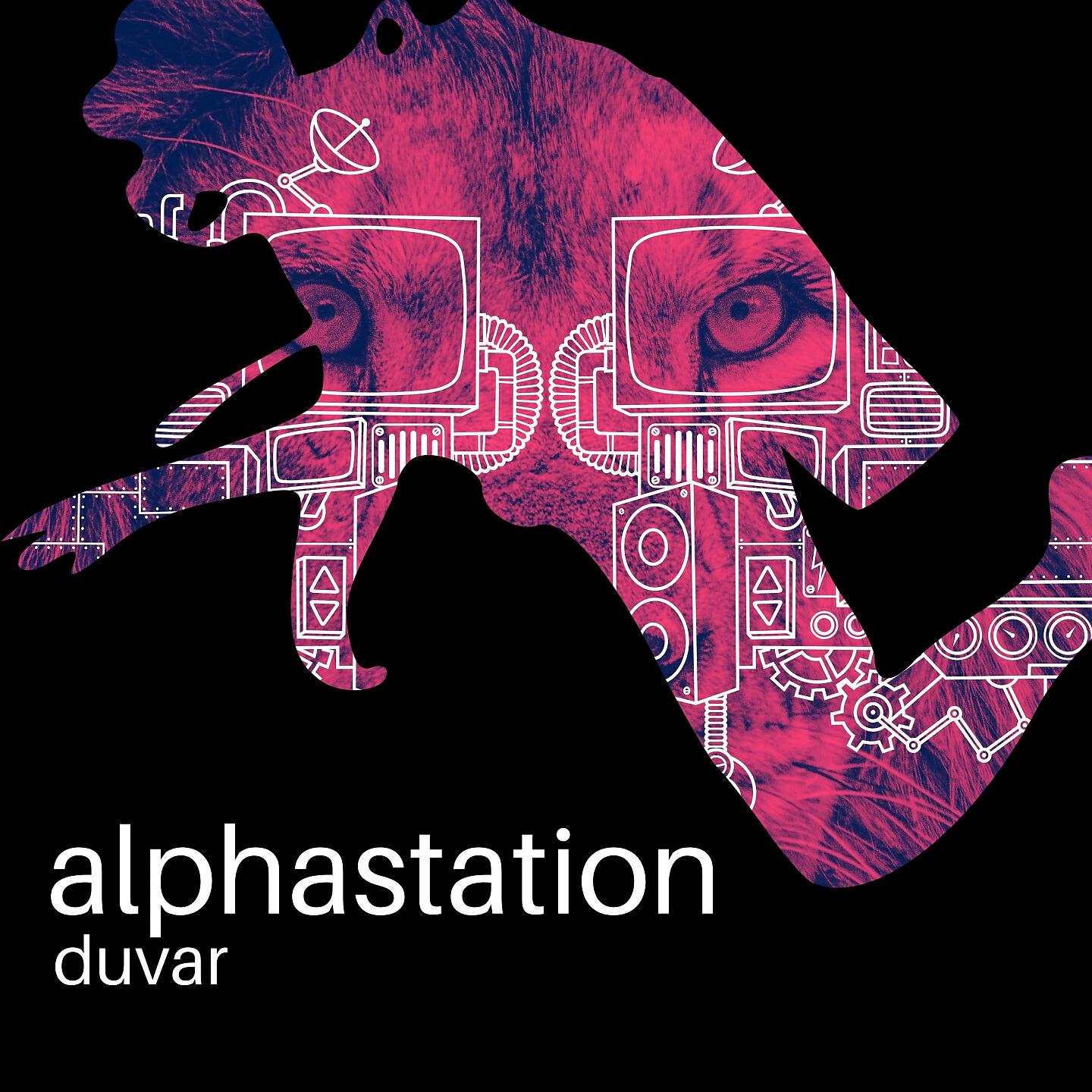 Duvar - Taipan