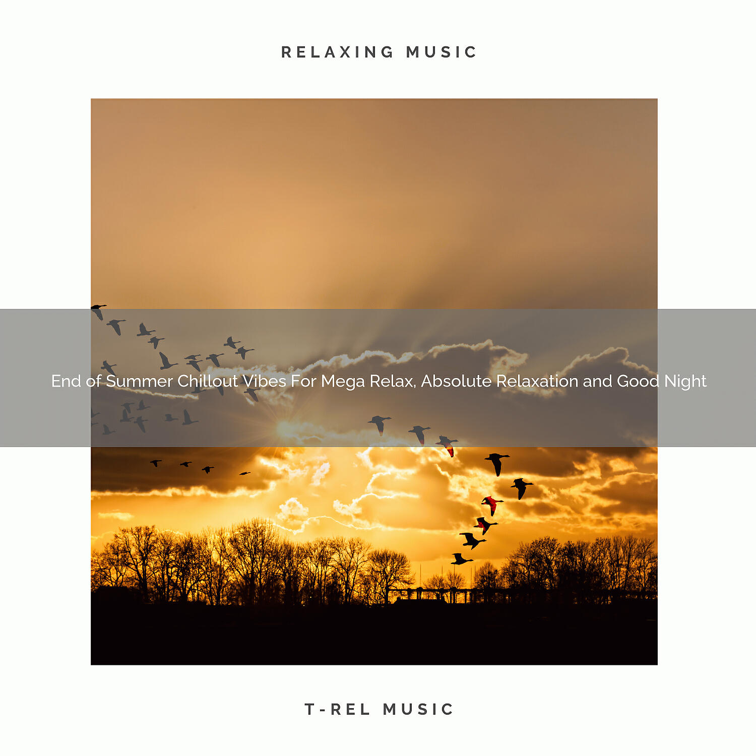 Relaxation from T-Rel - White Tunes For Relax, Spiritual Healing