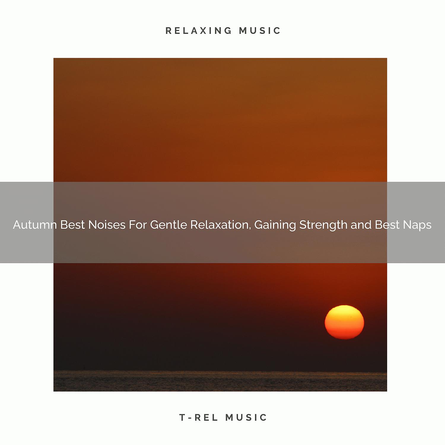 Постер альбома Autumn Best Noises For Gentle Relaxation, Gaining Strength and Best Naps