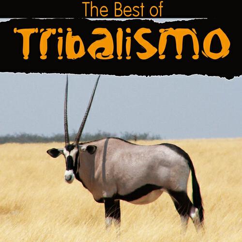 ACAPULCO - Timbalada (Peruz Mix)
