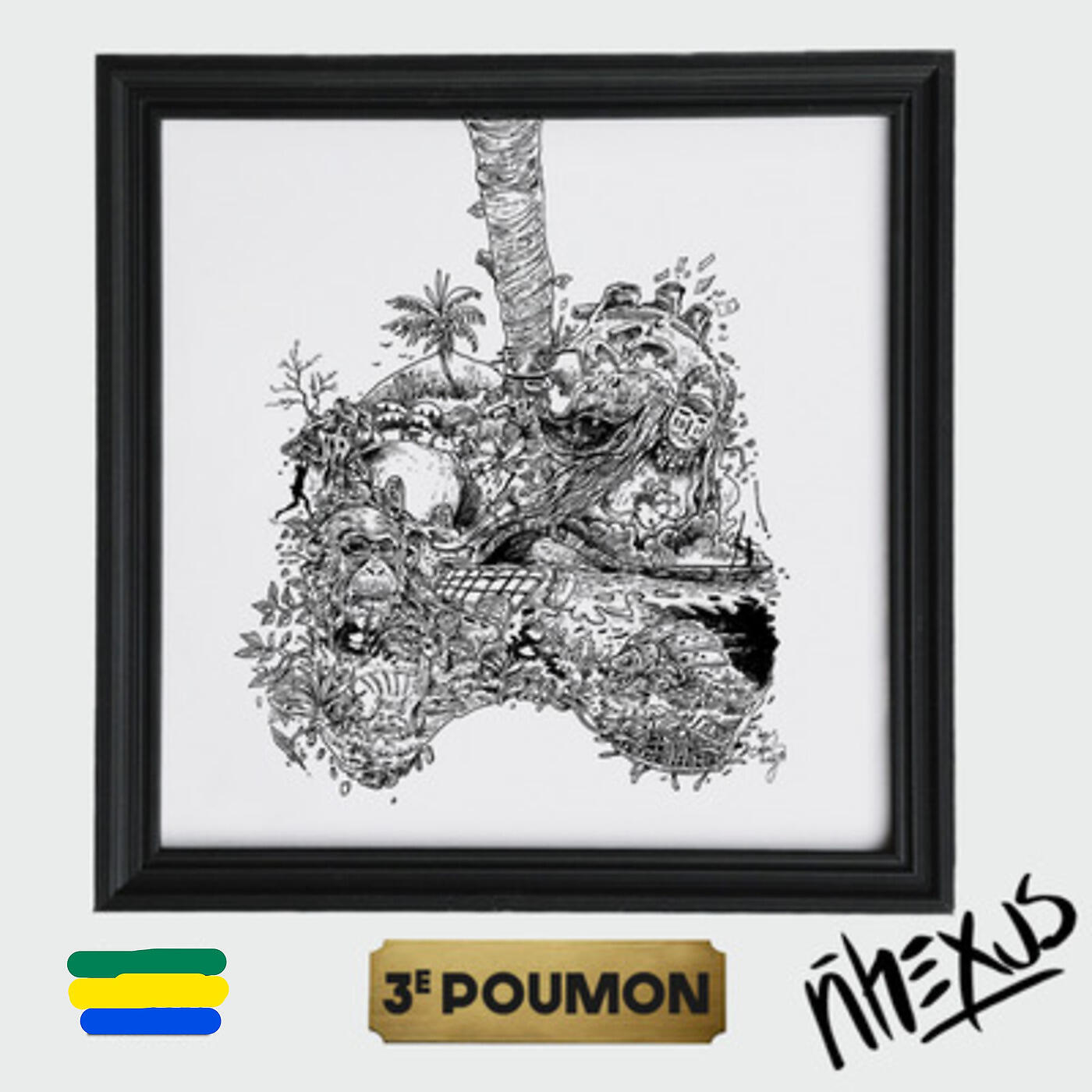 Nhexus - Le Rapport