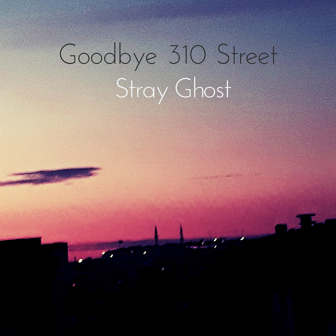 Stray Ghost - Goodbye 310 Street