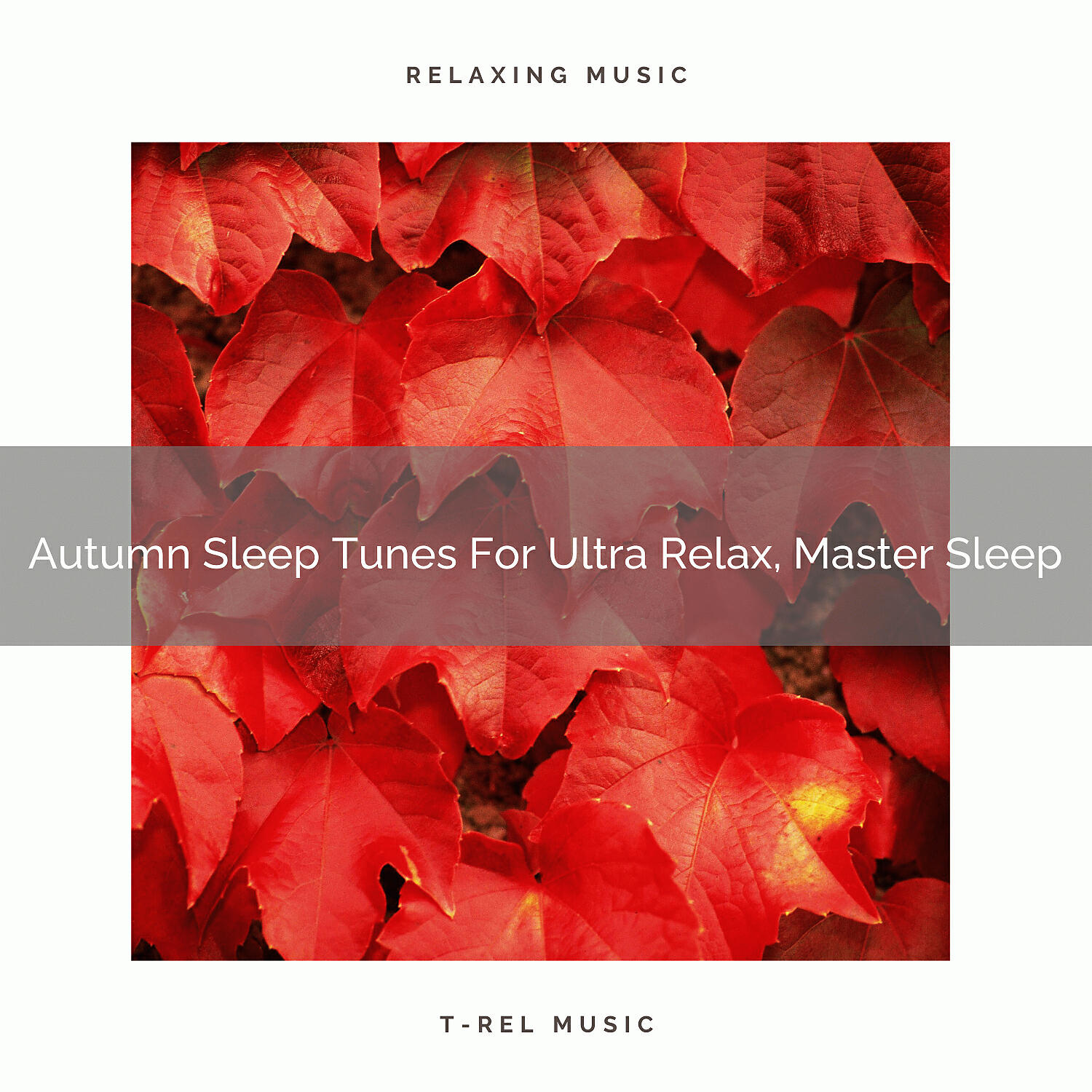 Sleep Baby Sleep - Winter Welcoming Calm Noise For Gentle Relaxation, Deep Sleep and Best Naps