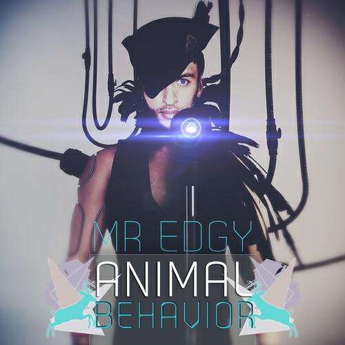 Mr Edgy - A Space in the Echo