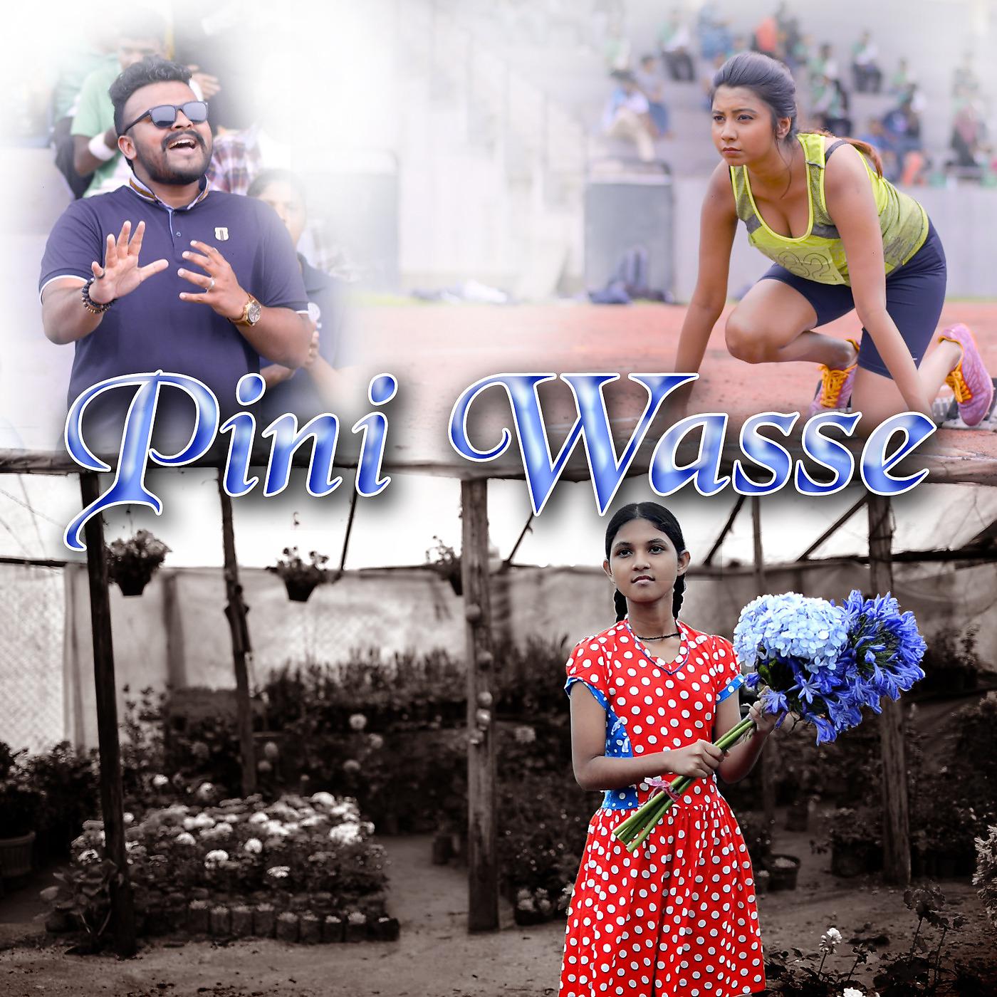 Постер альбома Pini Wasse