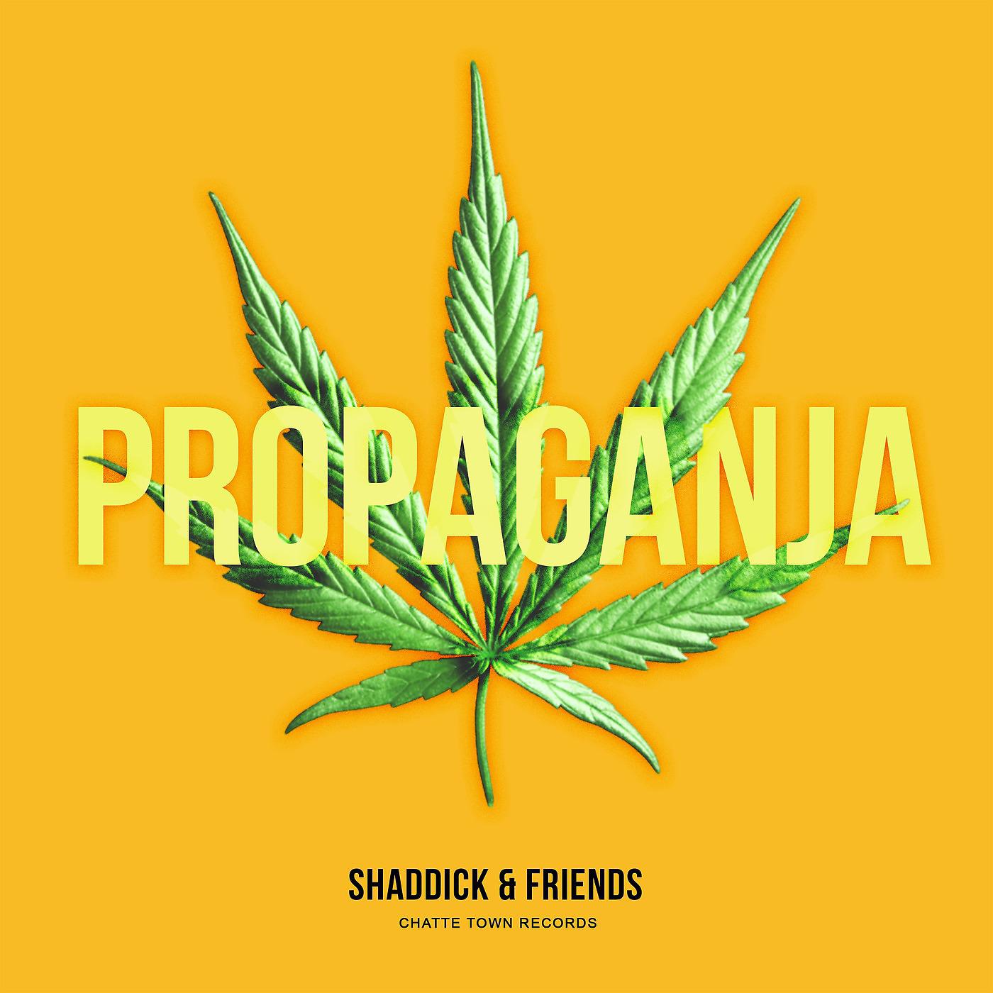 Постер альбома Propaganja