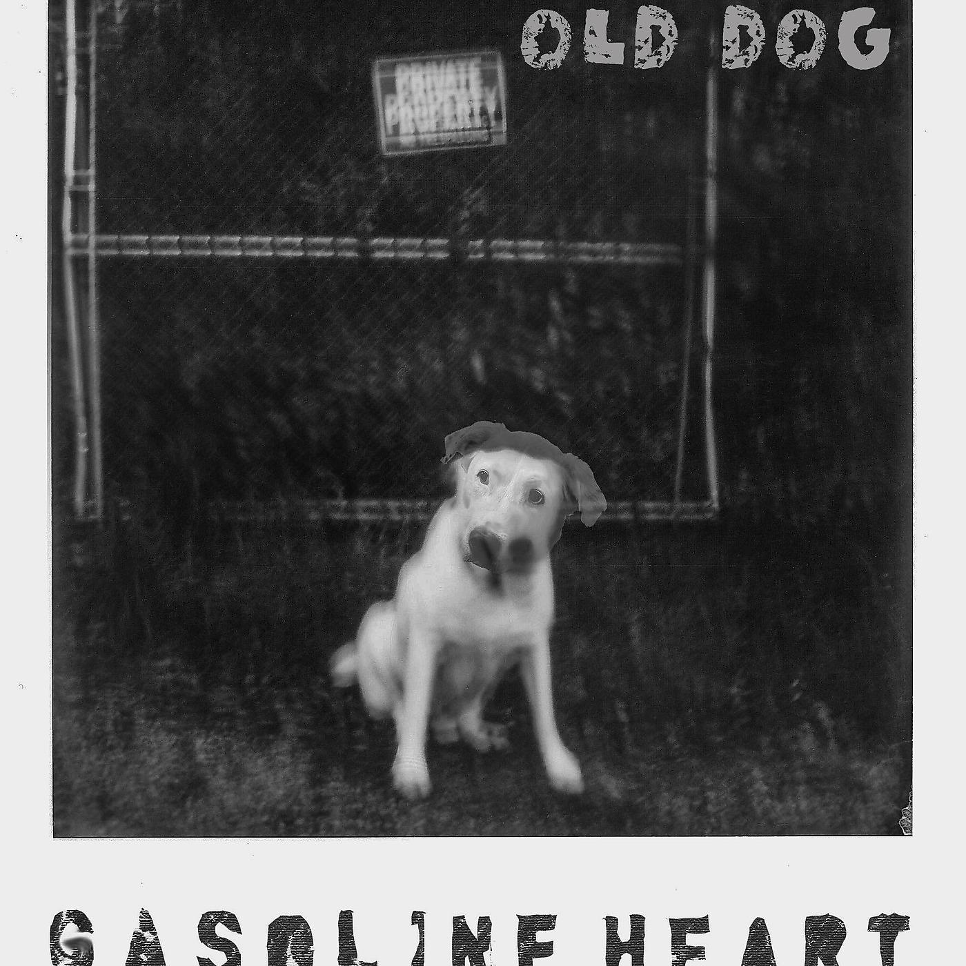Постер альбома Old Dog