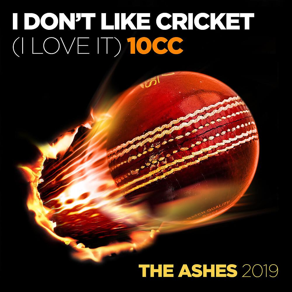Постер альбома I Don't Like Cricket - I Love It (Dreadlock Holiday)