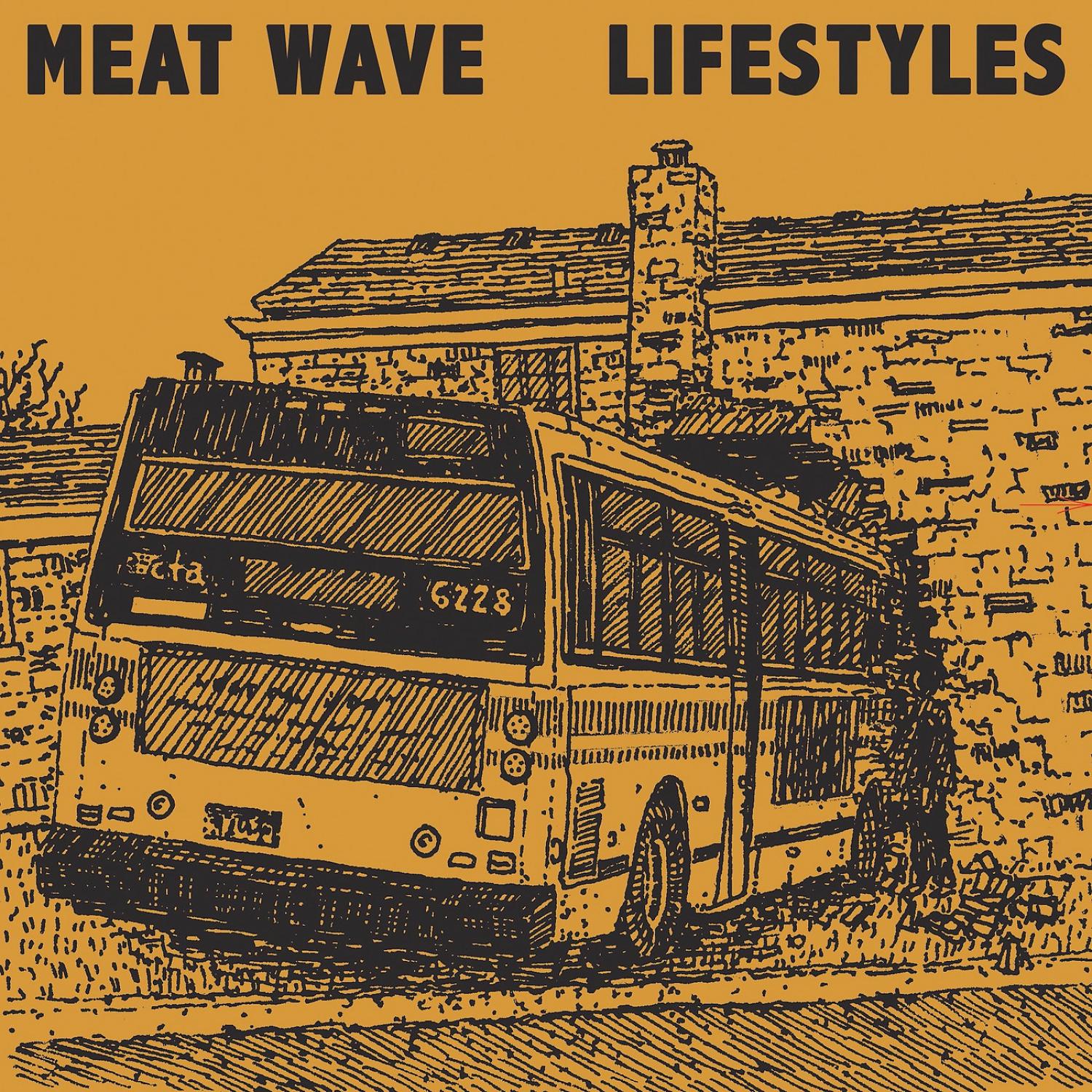 Постер альбома Meat Wave & Lifestyles Split