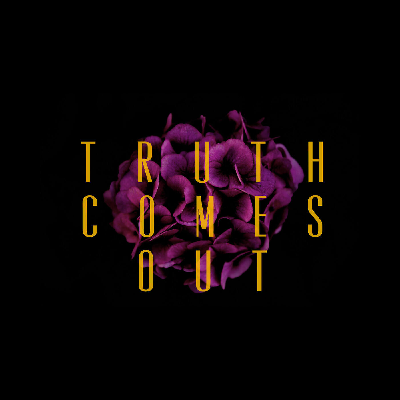 Willyecho - Truth Comes Out