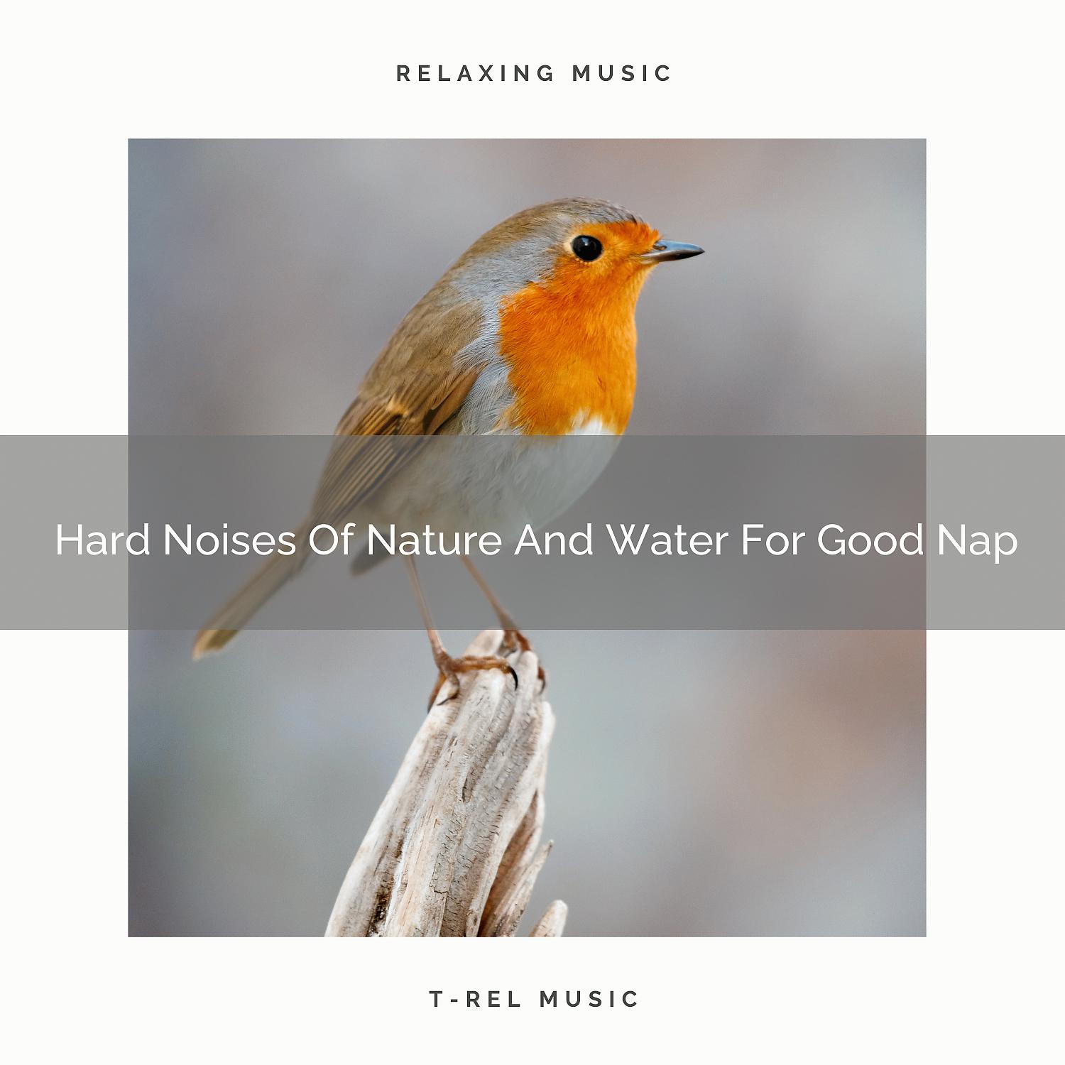 Постер альбома Hard Noises Of Nature And Water For Good Nap