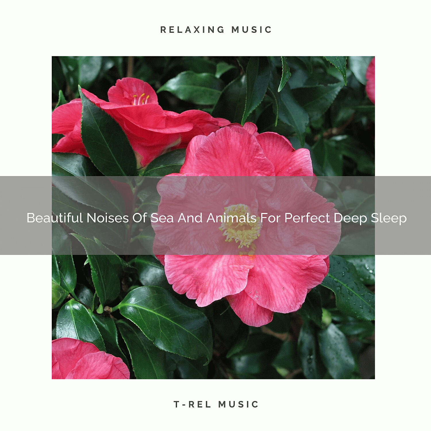 White Noise Spa - Hard White Noise Of Waves And Animals For Good Deep Sleep