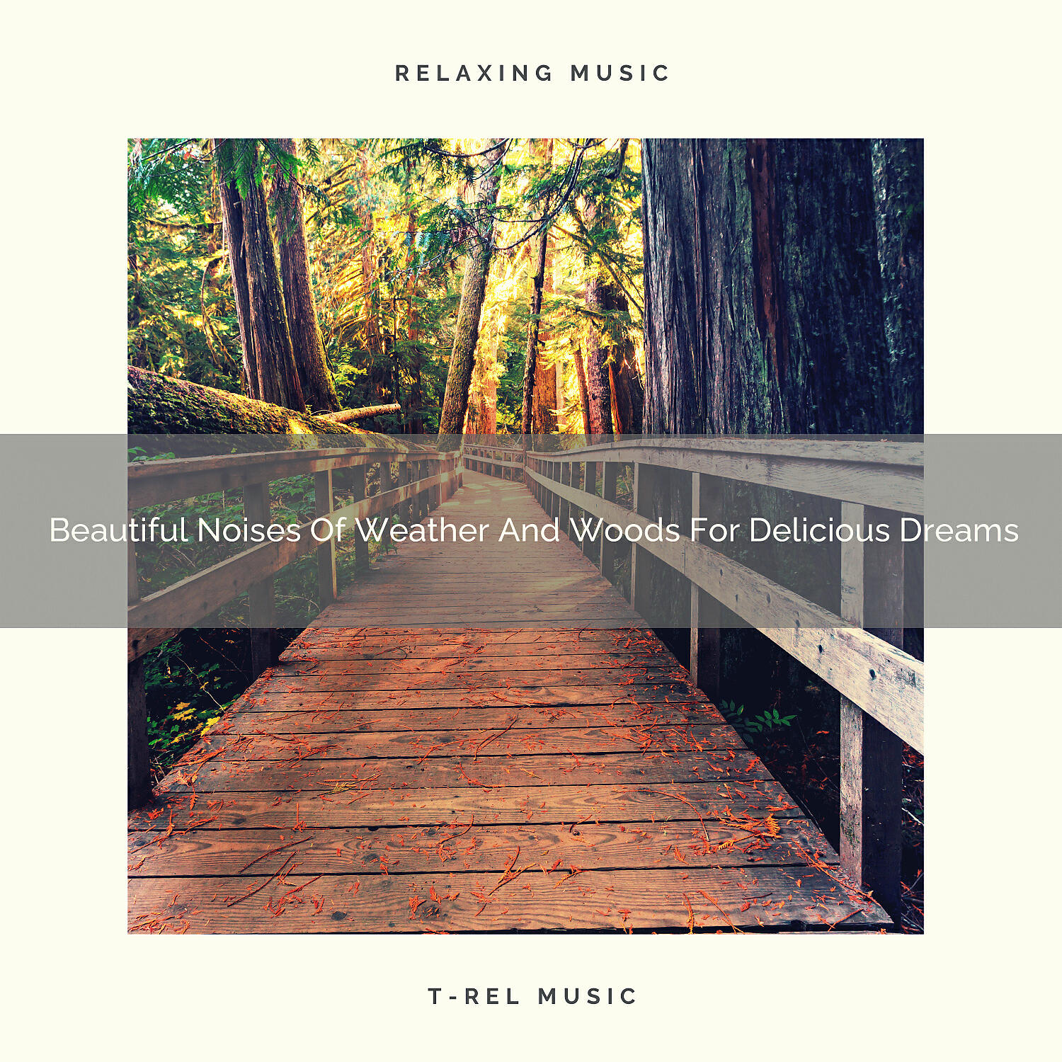 Sleep Dimension - Noise of Colours Induces Sleep and Refills