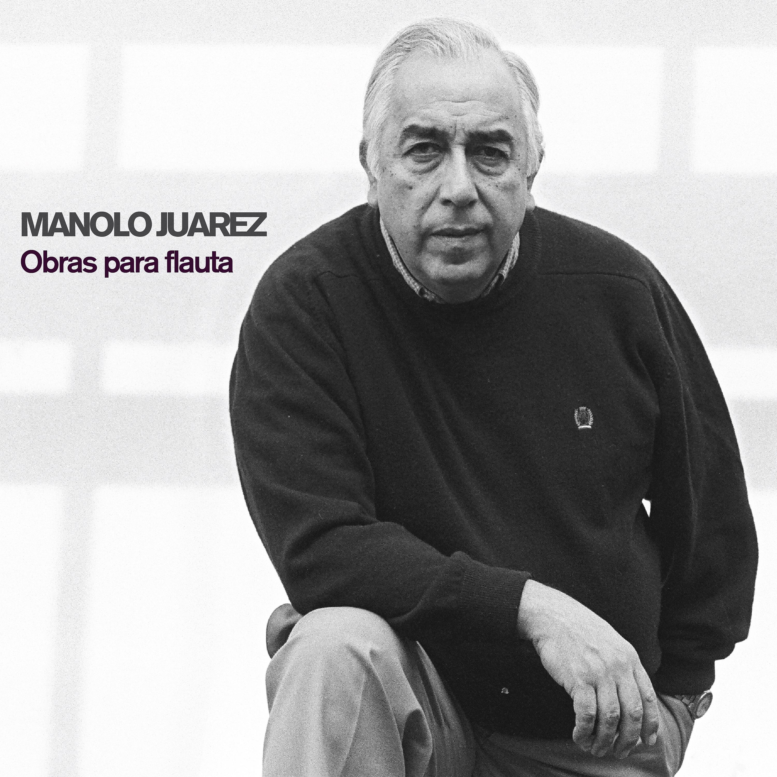 Постер альбома Manolo Juárez: Obras para Flauta (Compilación)