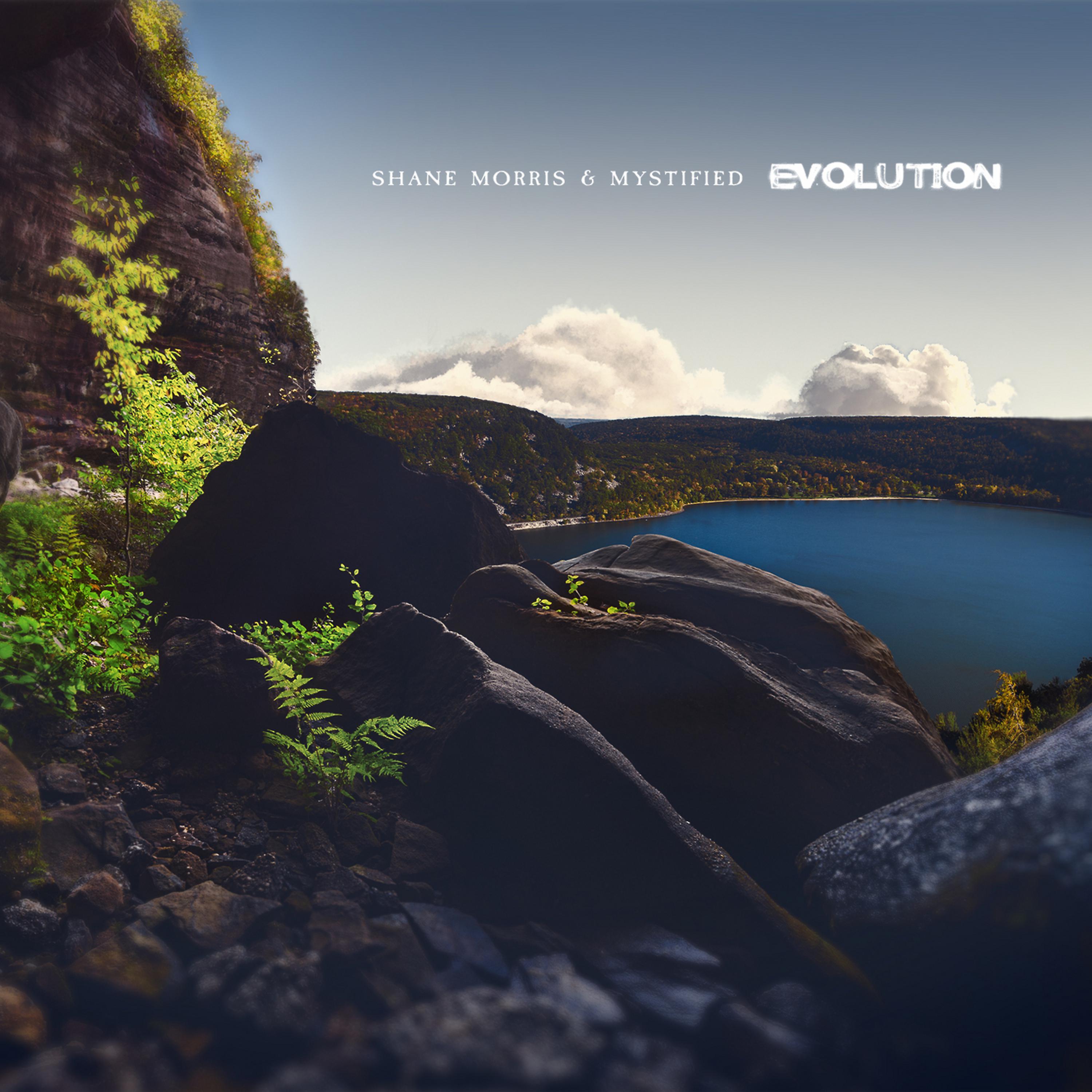 Постер альбома Evolution