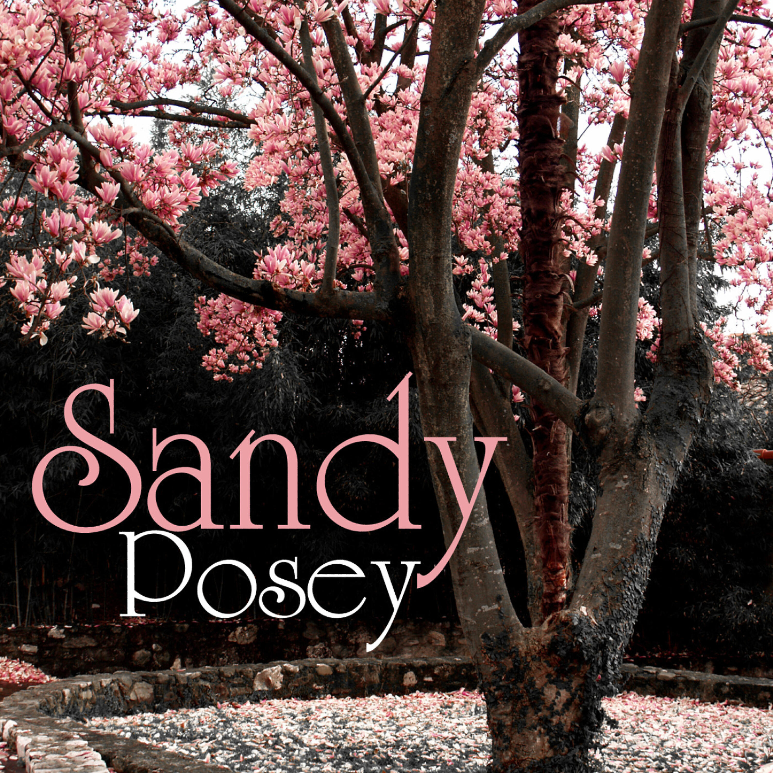 Sandy Posey - Put Your Hand In The Hand
