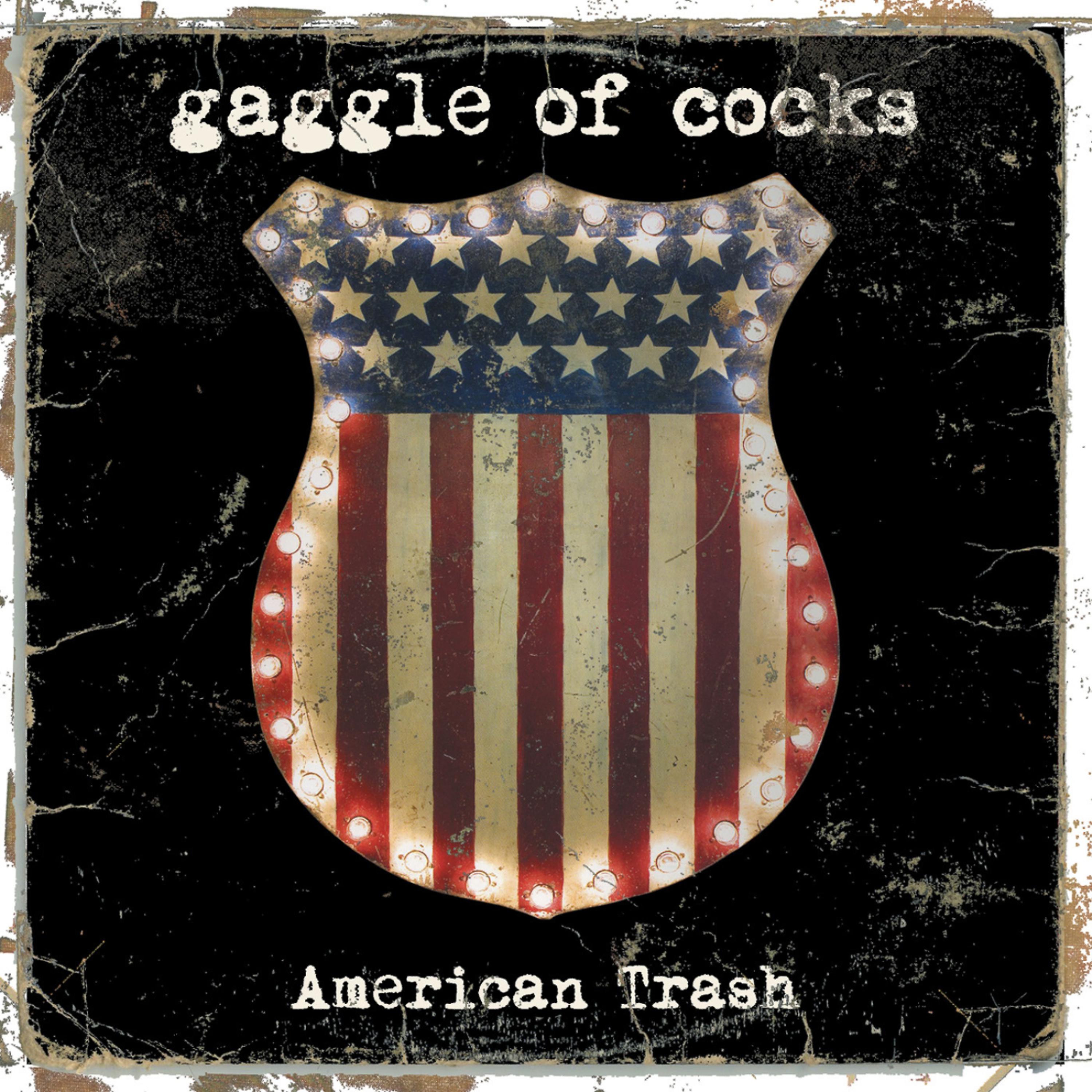 Постер альбома American Trash
