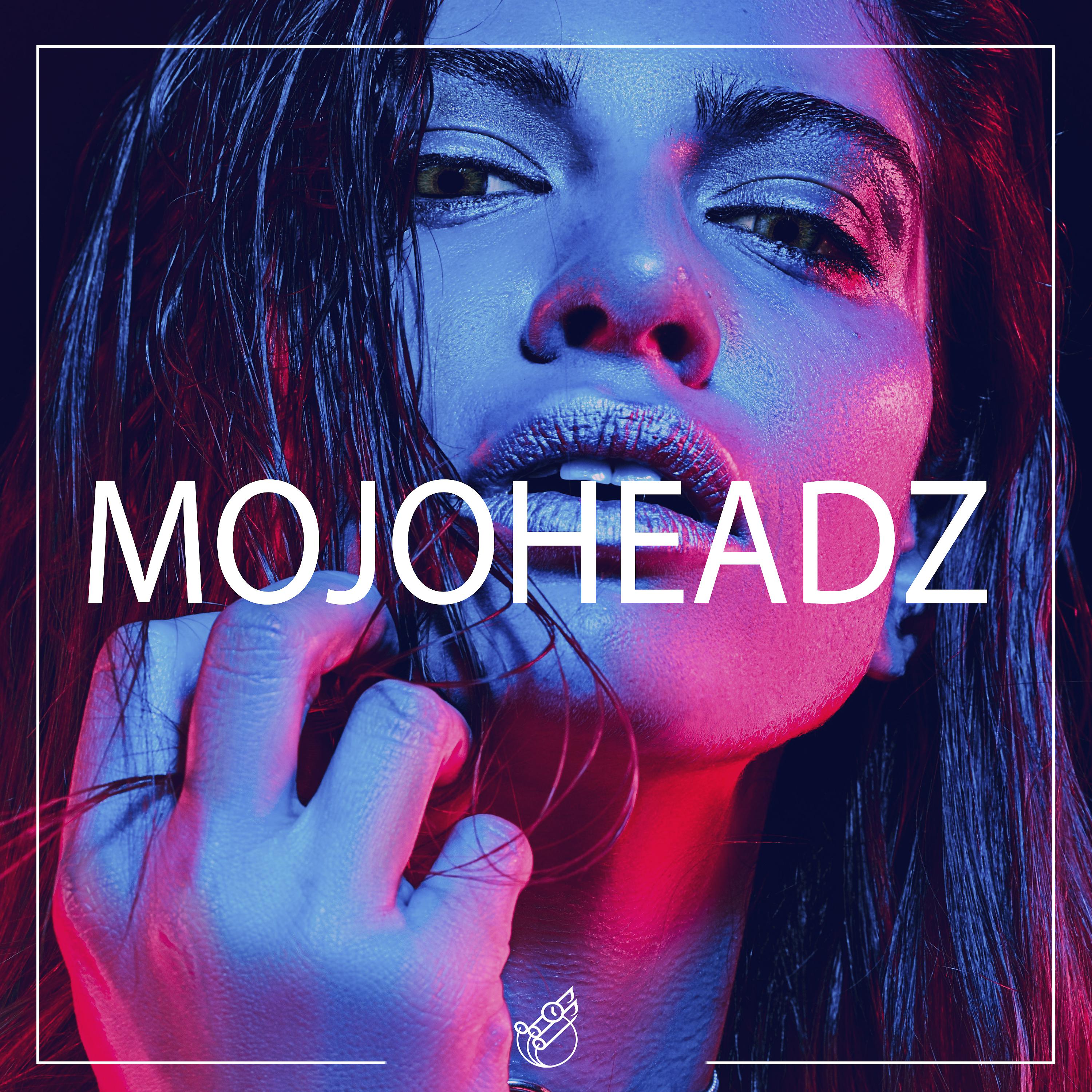 Постер альбома Mojoheadz Records Review