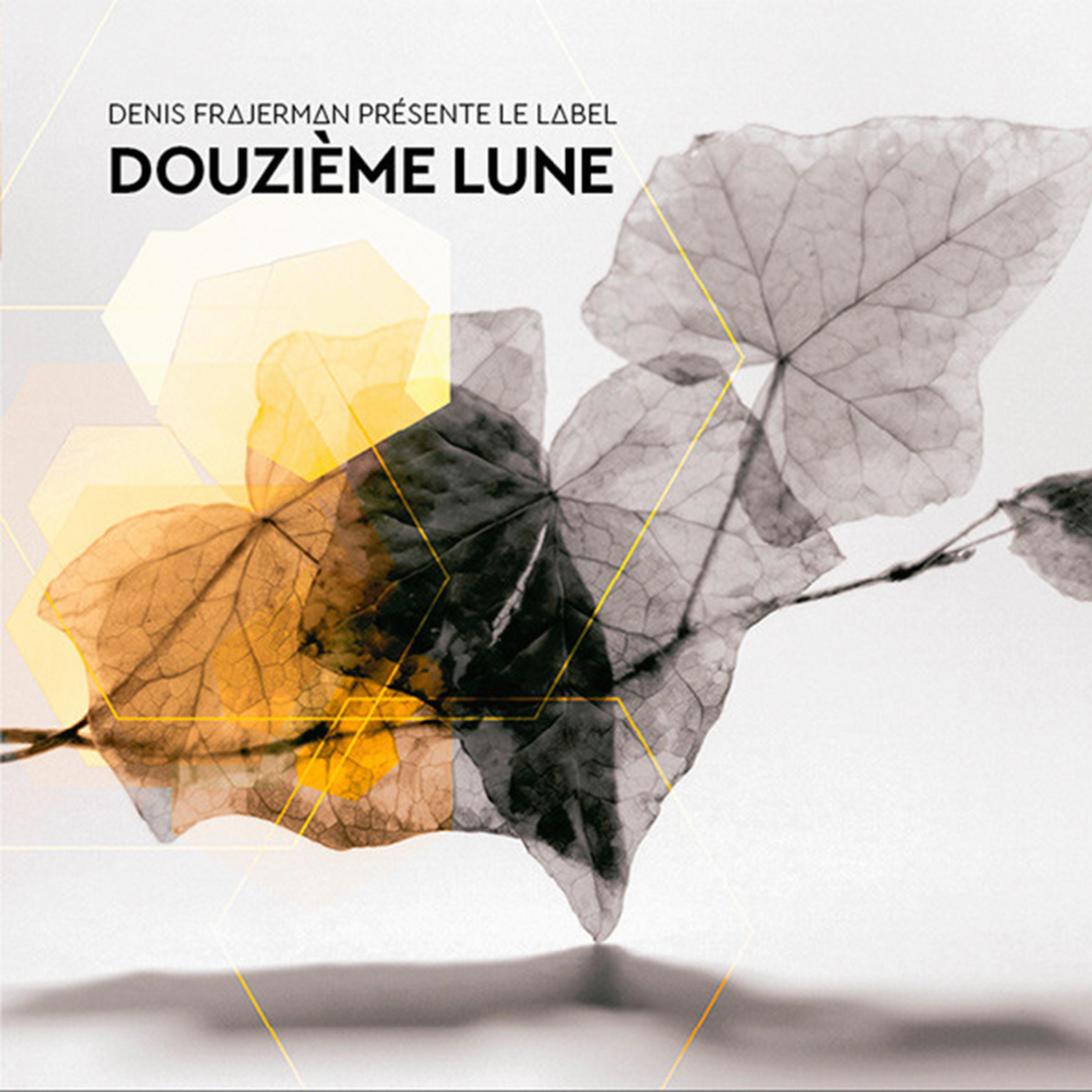 Постер альбома Douzième Lune
