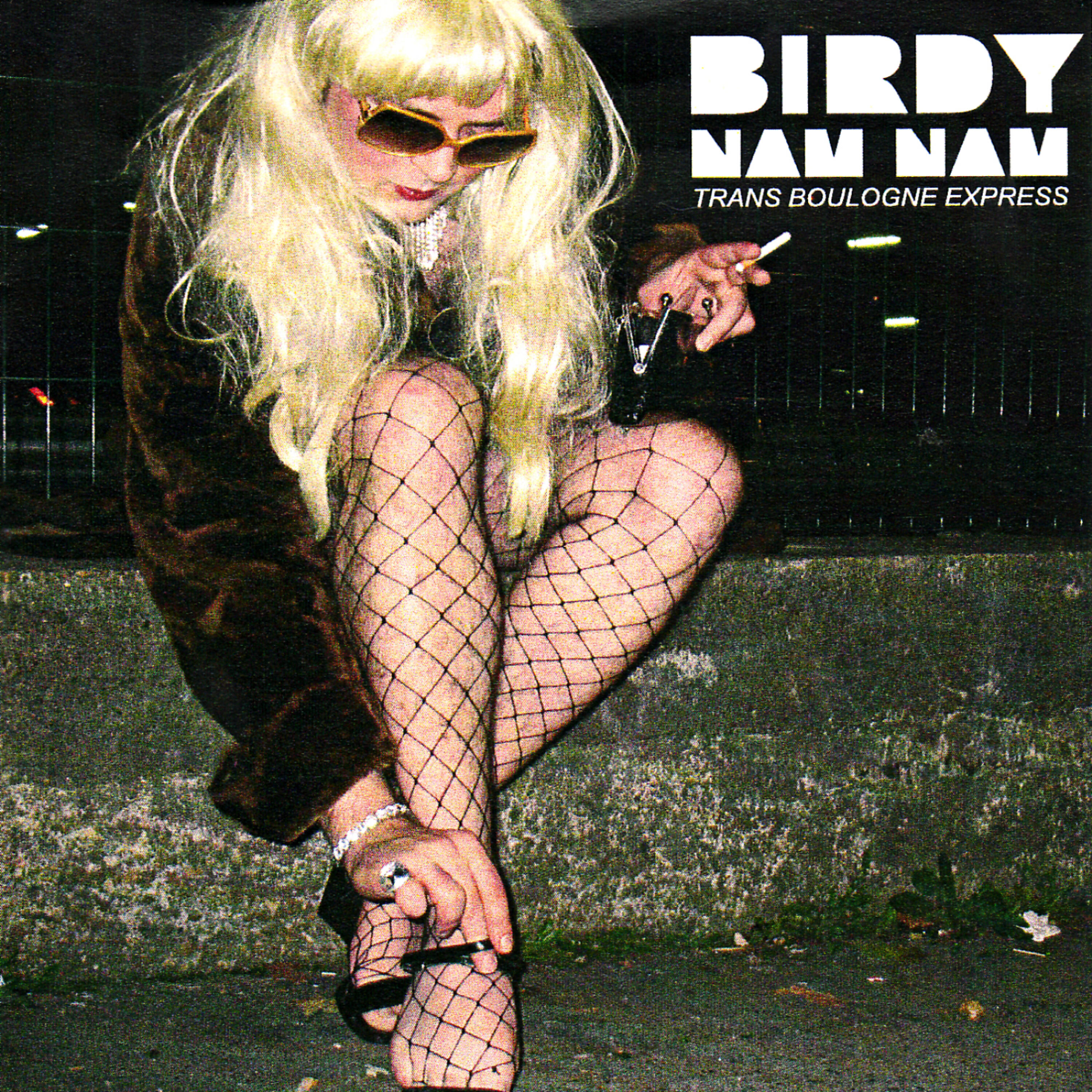Birdy Nam Nam - Trans Boulogne Express (The Driver & Lunatic Asylum Remix)