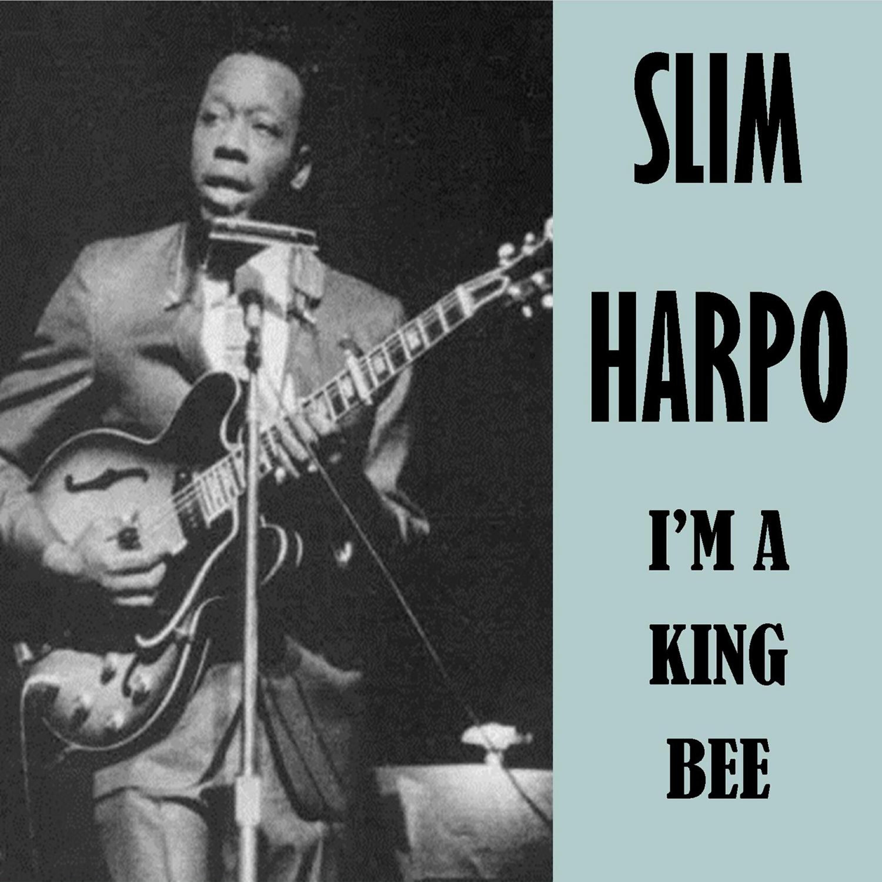 Slim Harpo - Don't Start Cryin' Now
