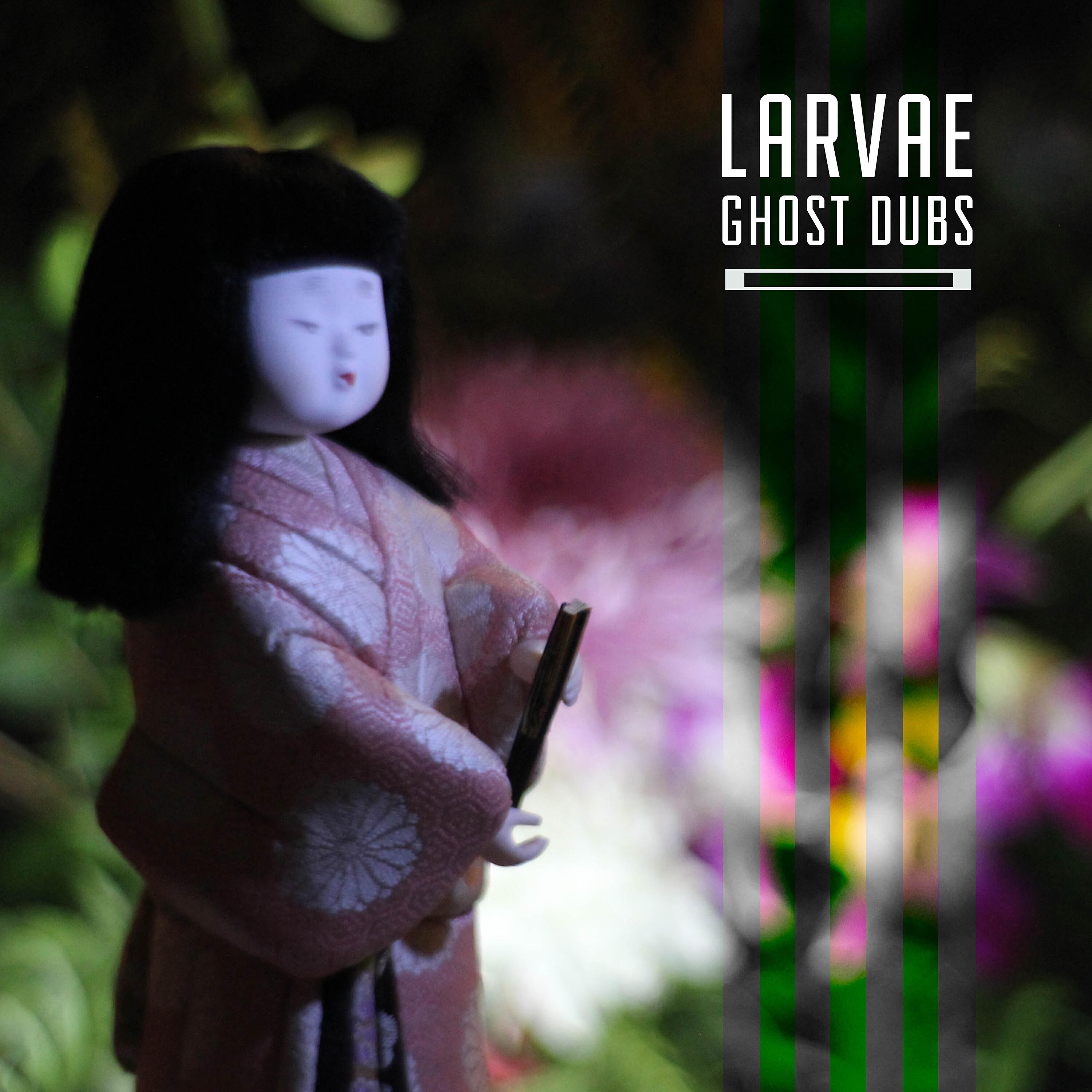Larvae - The Black Cat
