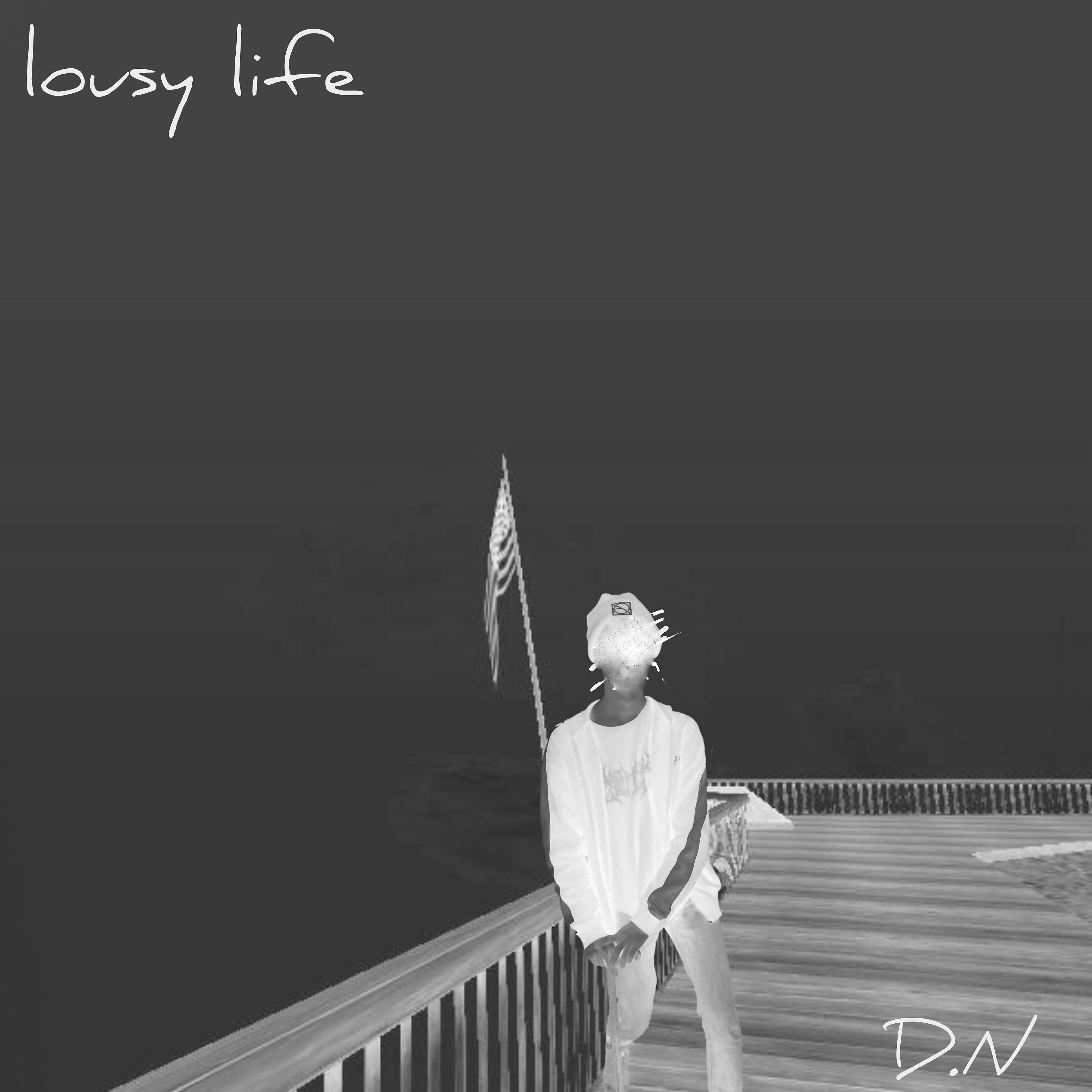 Постер альбома Lousy Life