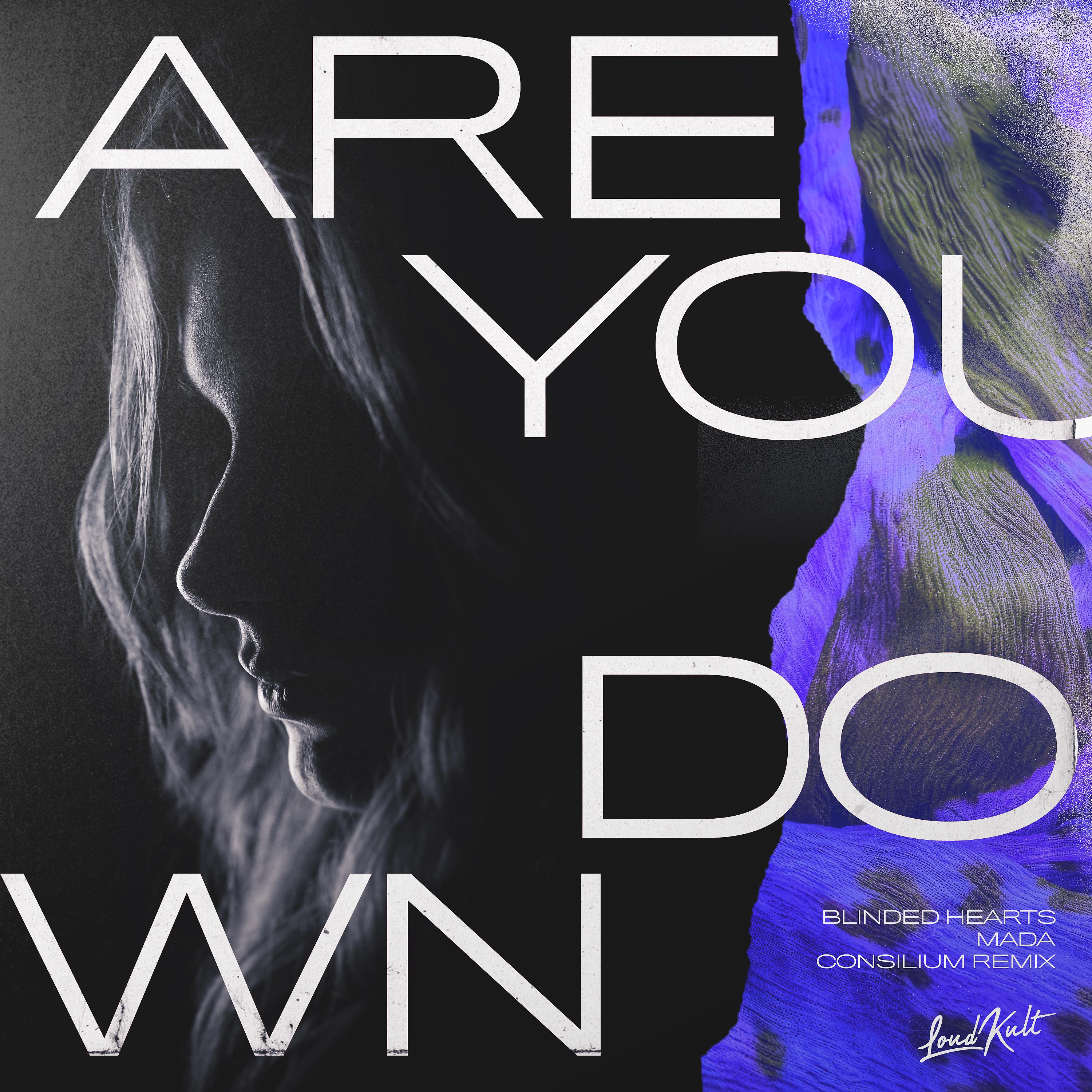 Постер альбома Are You Down (Consilium Remix)