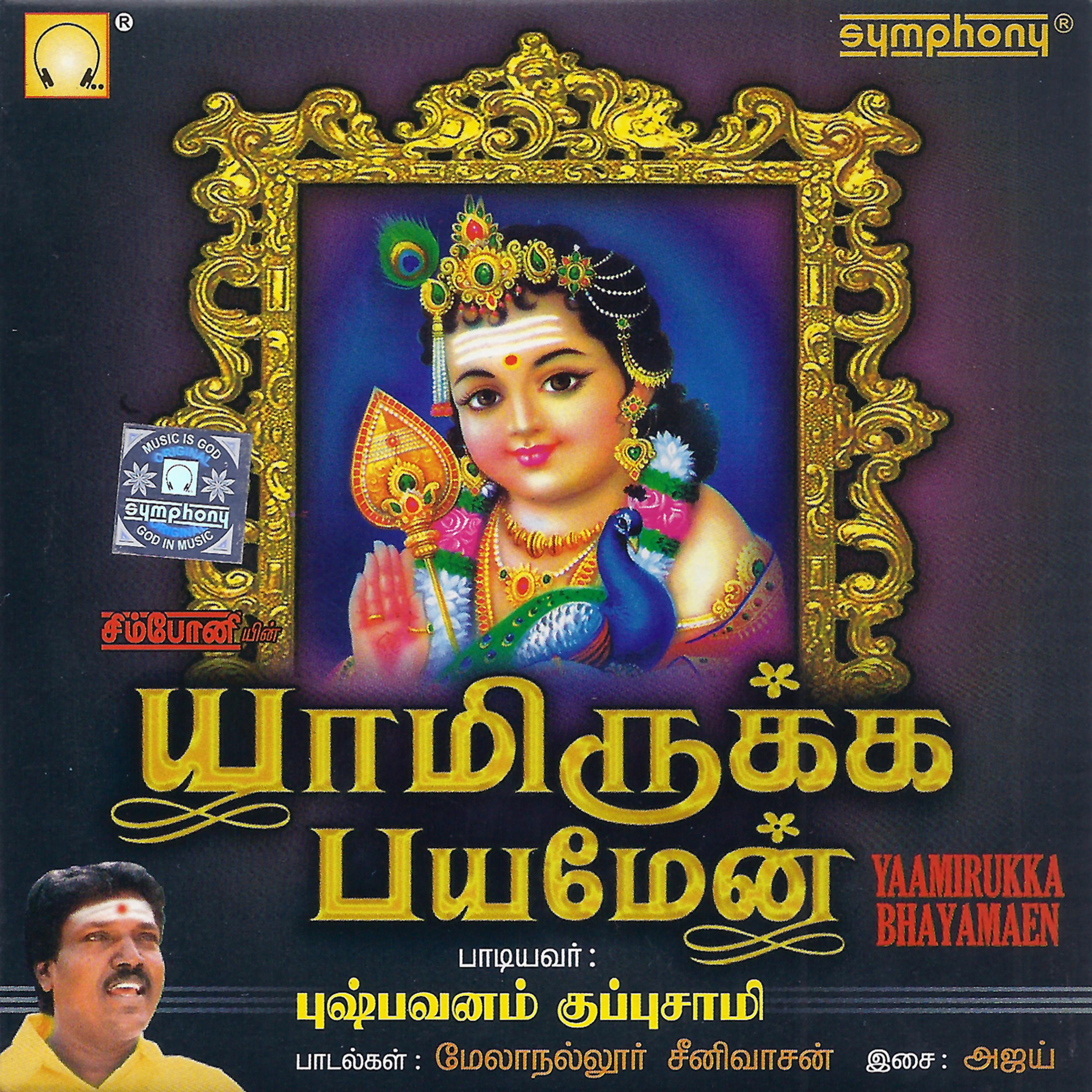 Постер альбома Yaamirukka Bhayamaen