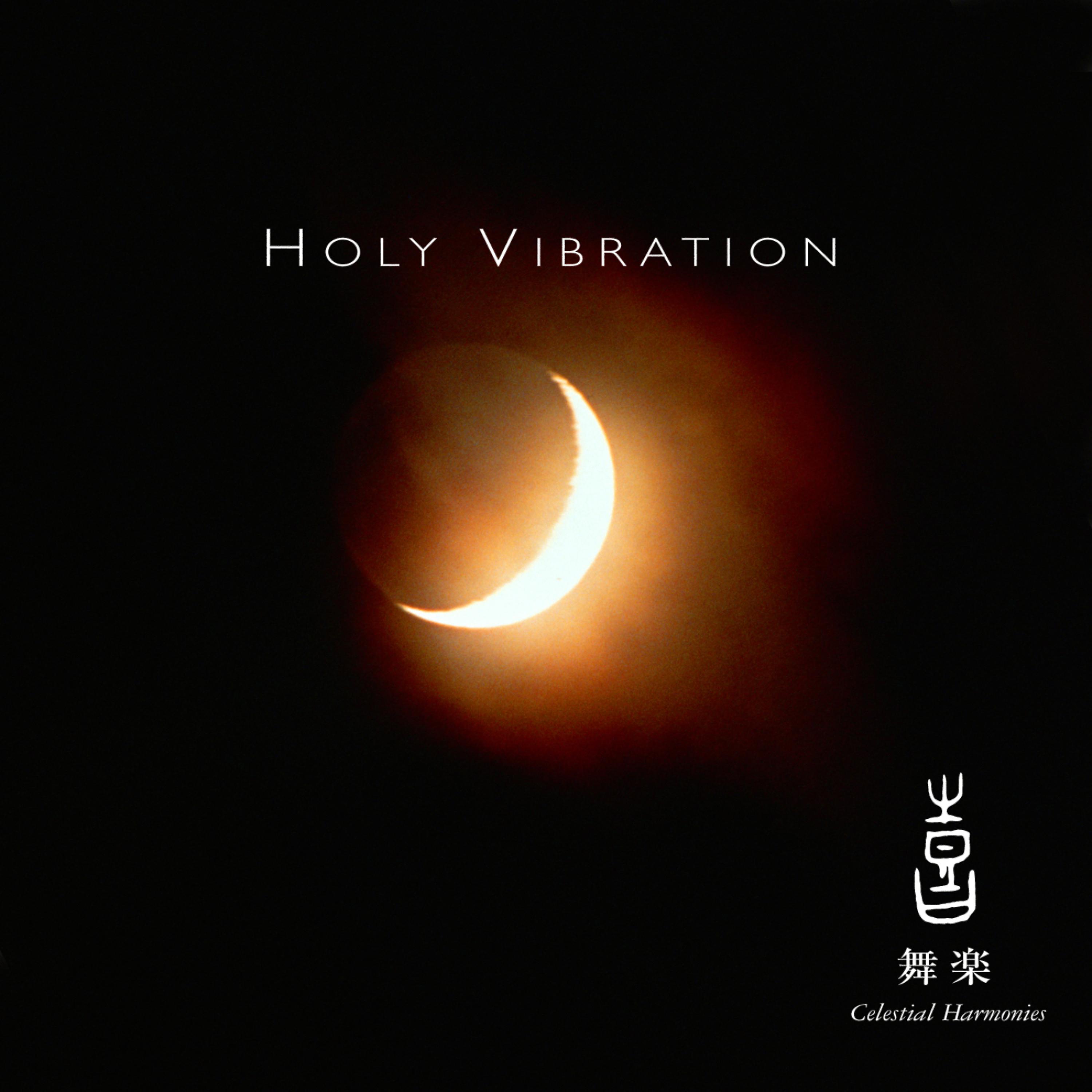 Постер альбома Celestial Scenery: Holy Vibration, Volume 5