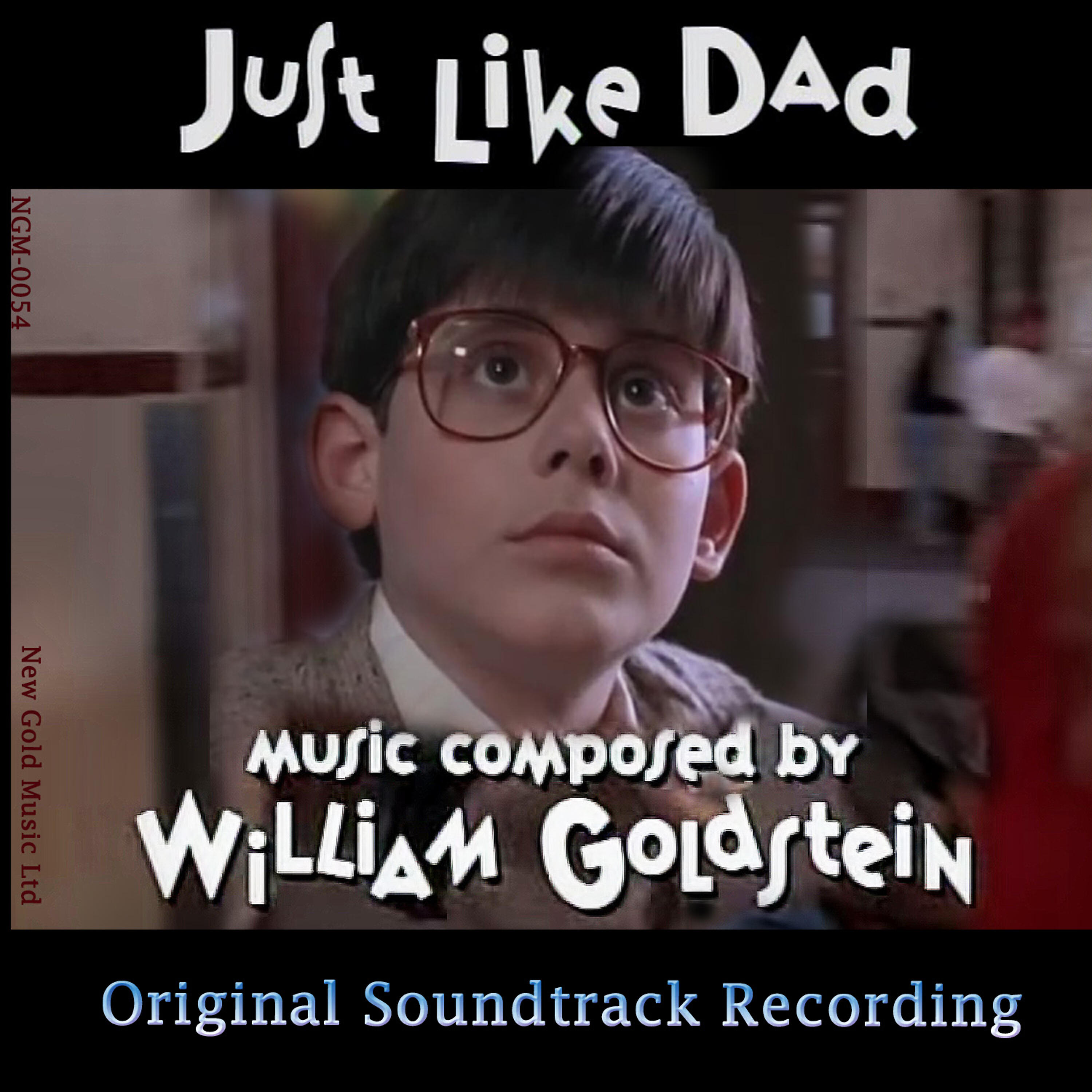 William Goldstein - Bumblers & Crooks