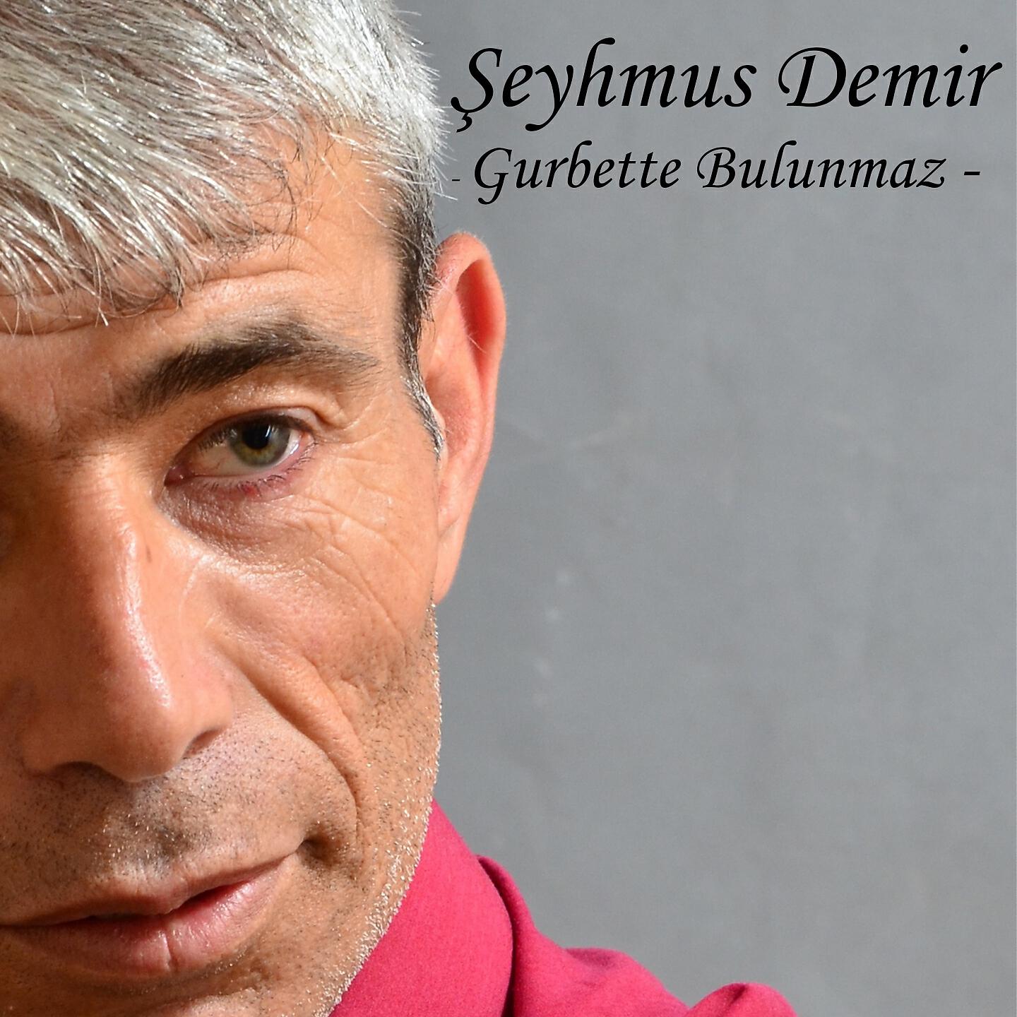 Şeyhmus Demir - İcab Etmi Bıra